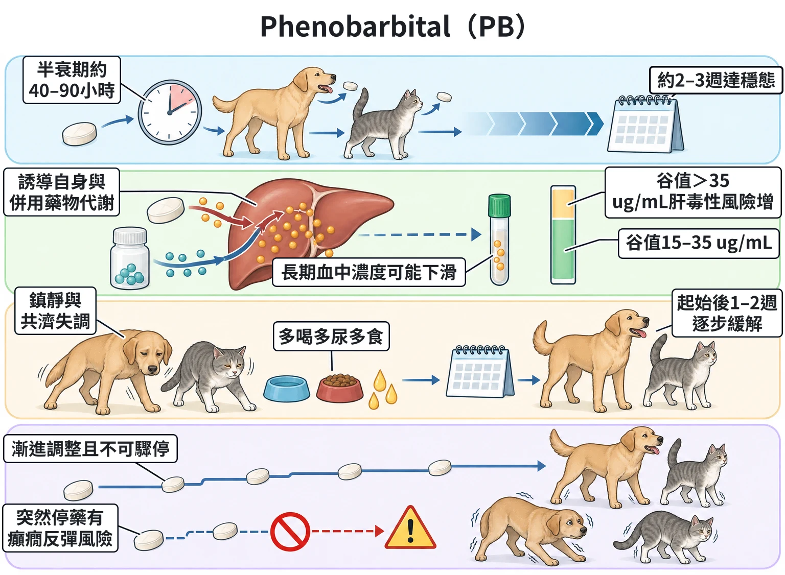 Phenobarbital(PB)教學插圖