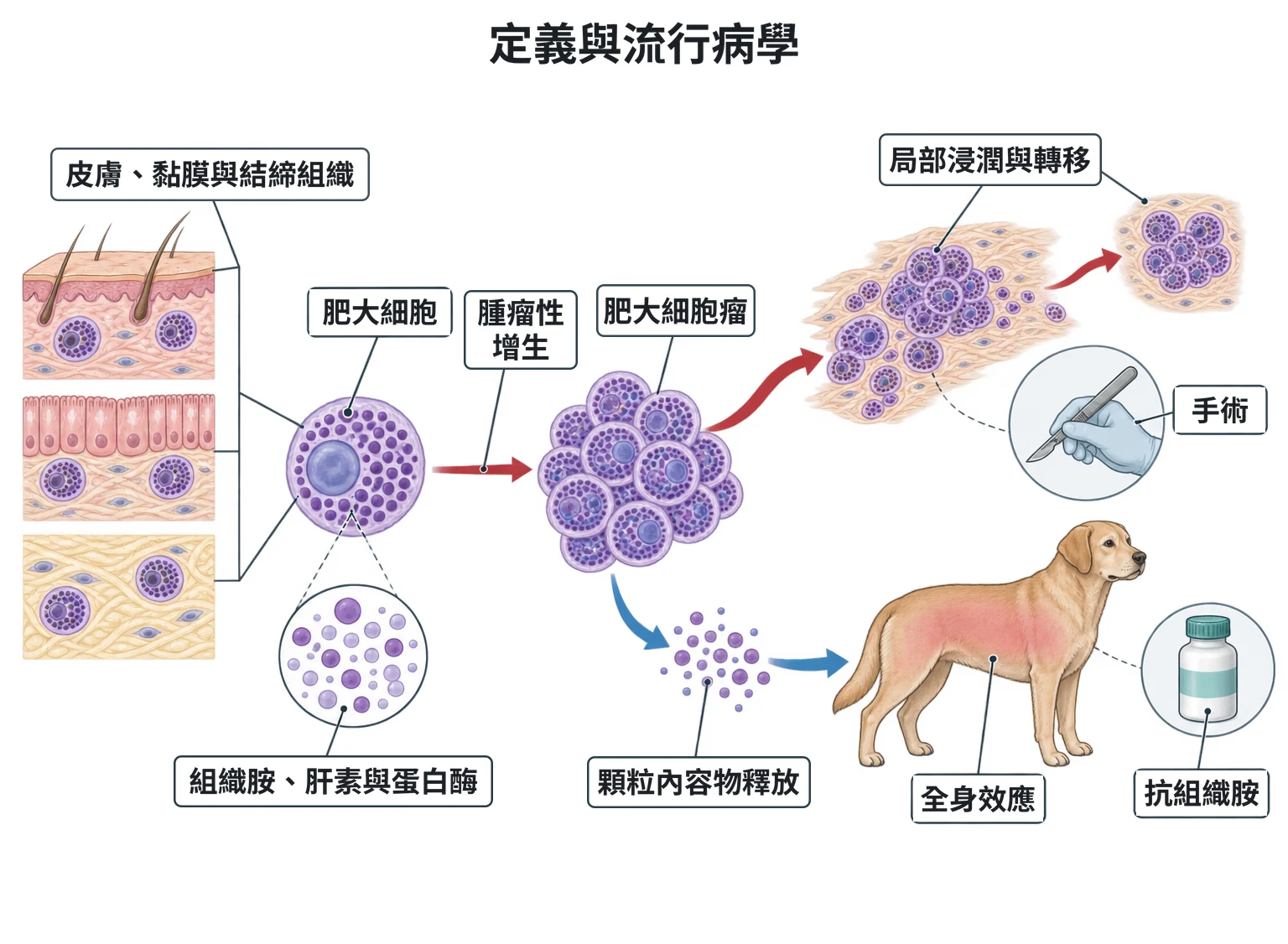 定義與流行病學教學插圖
