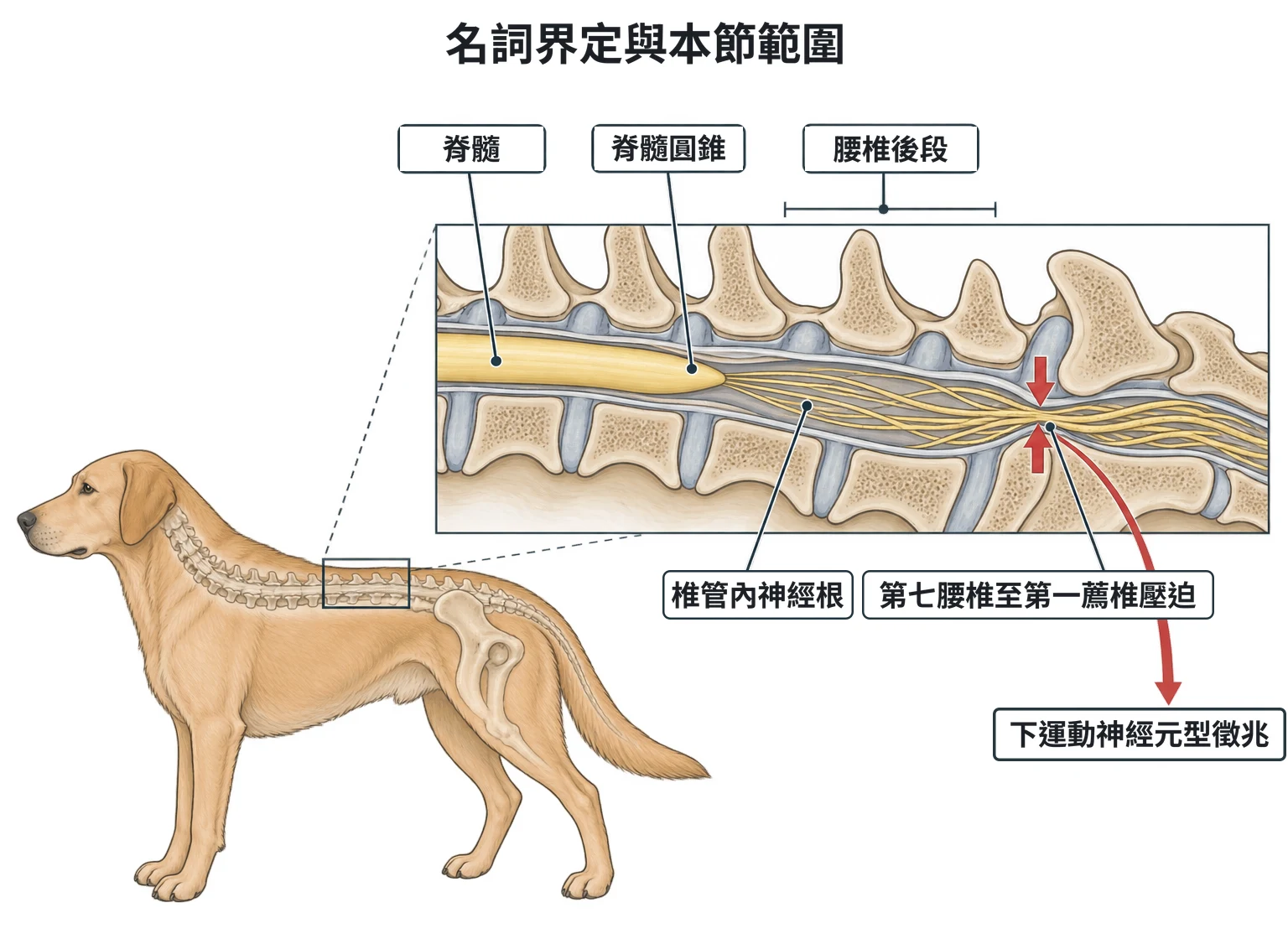 名詞界定與本節範圍教學插圖