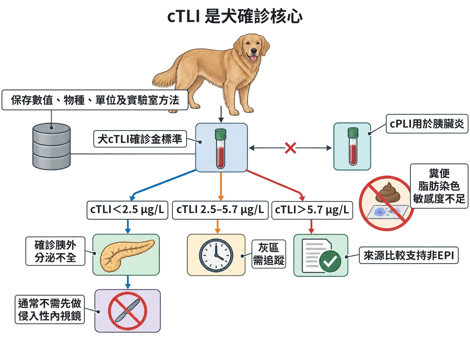 cTLI 是犬確診核心教學插圖