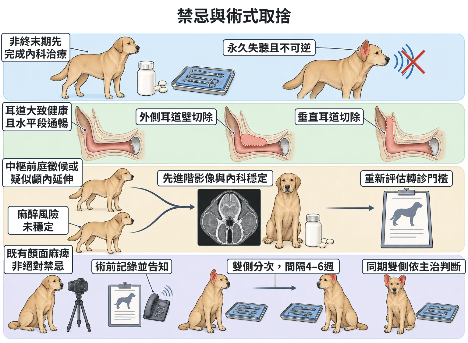 禁忌與術式取捨教學插圖