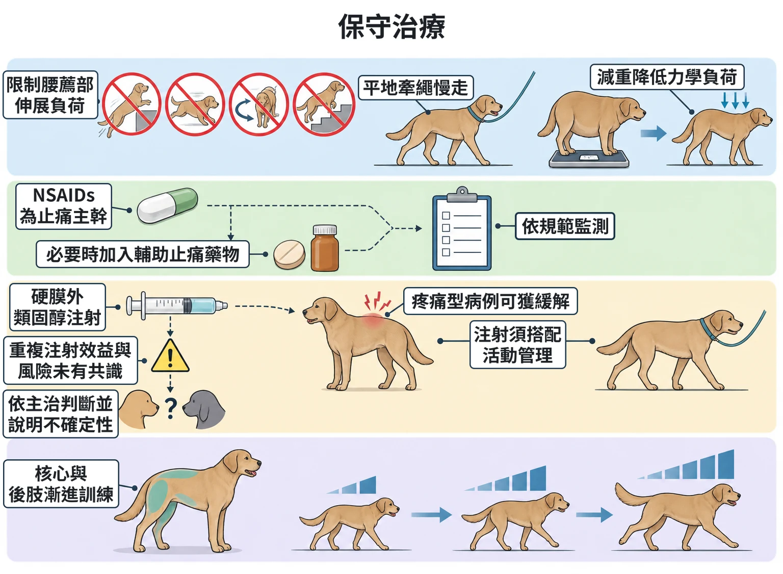 保守治療教學插圖
