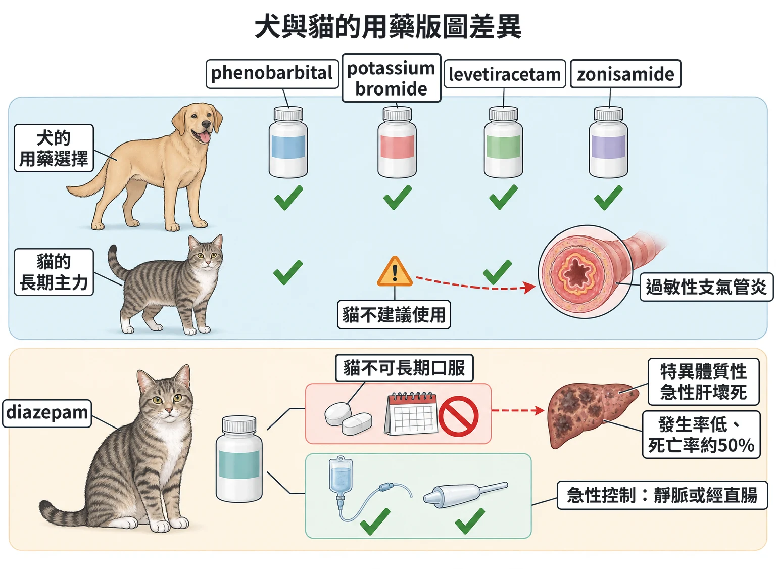 犬與貓的用藥版圖差異教學插圖