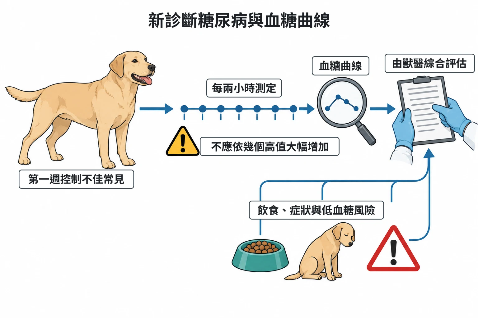 新診斷糖尿病與血糖曲線教學插圖