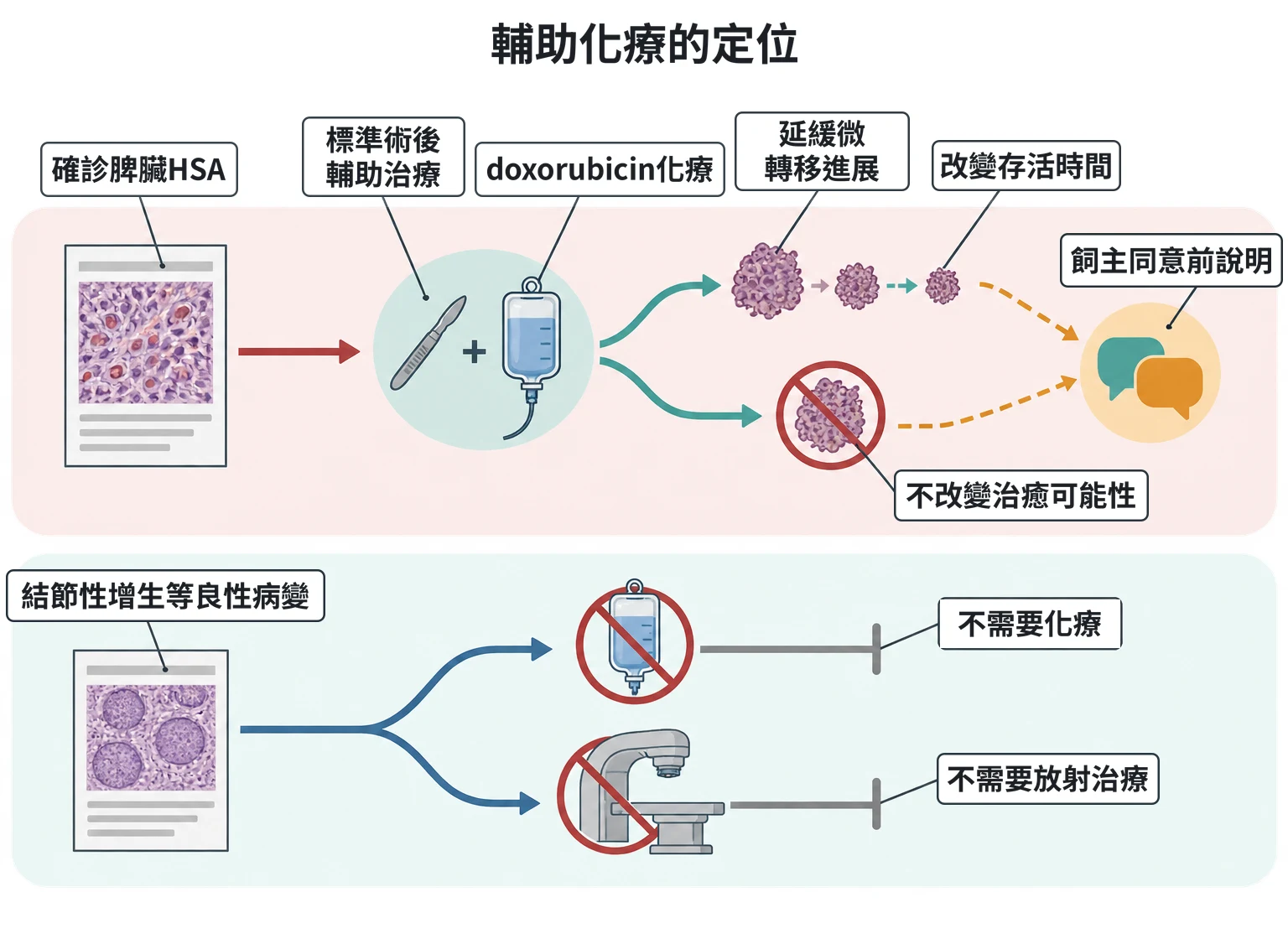 輔助化療的定位教學插圖