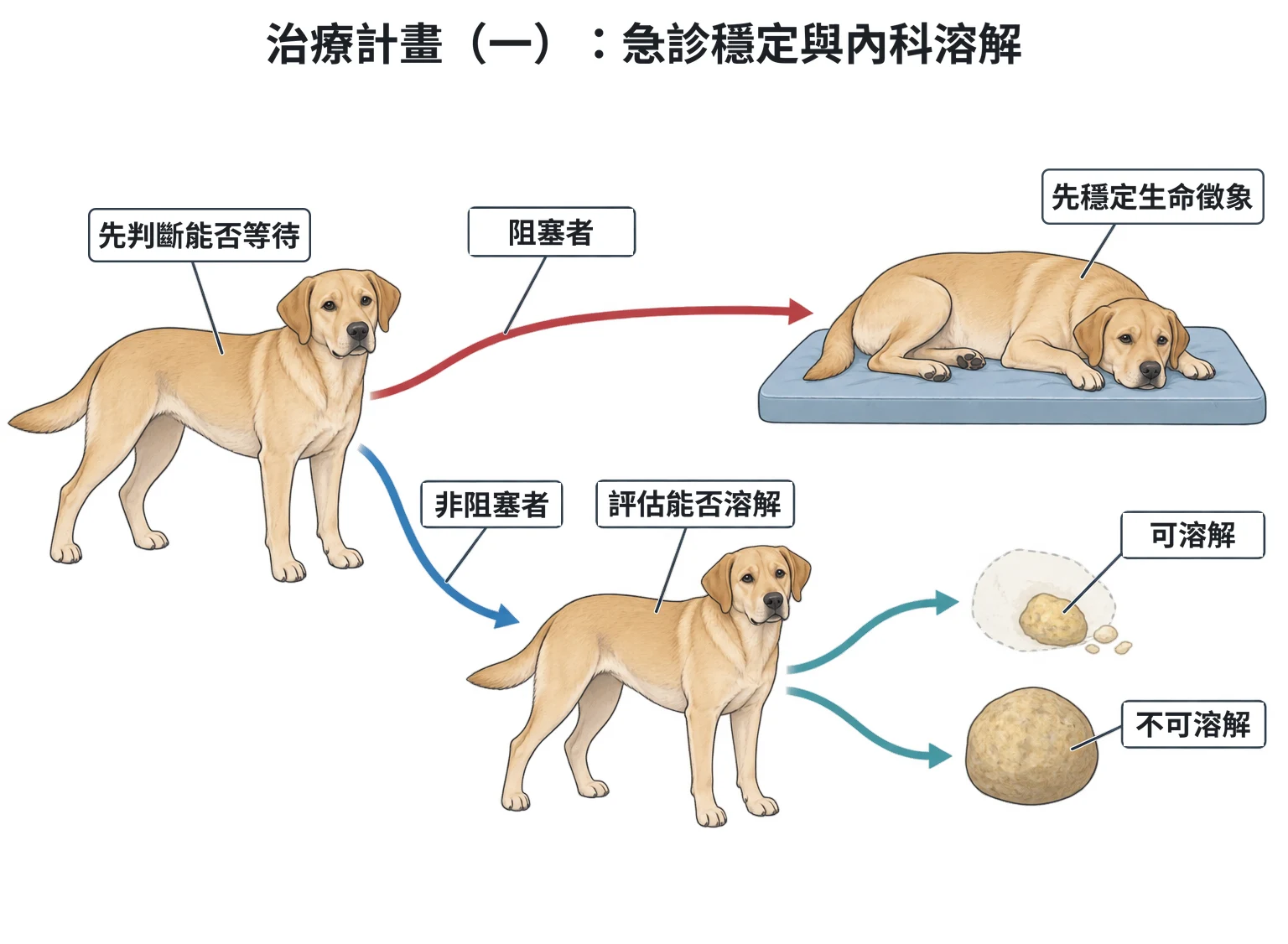 治療計畫(一):急診穩定與內科溶解教學插圖