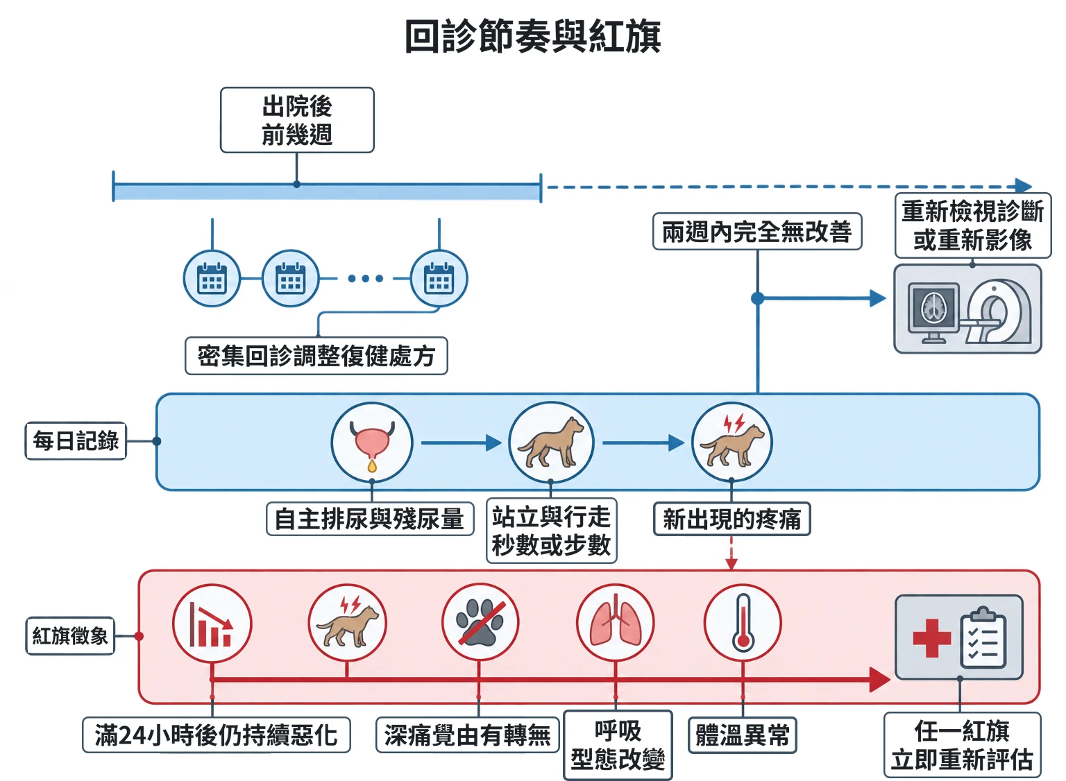 回診節奏與紅旗教學插圖