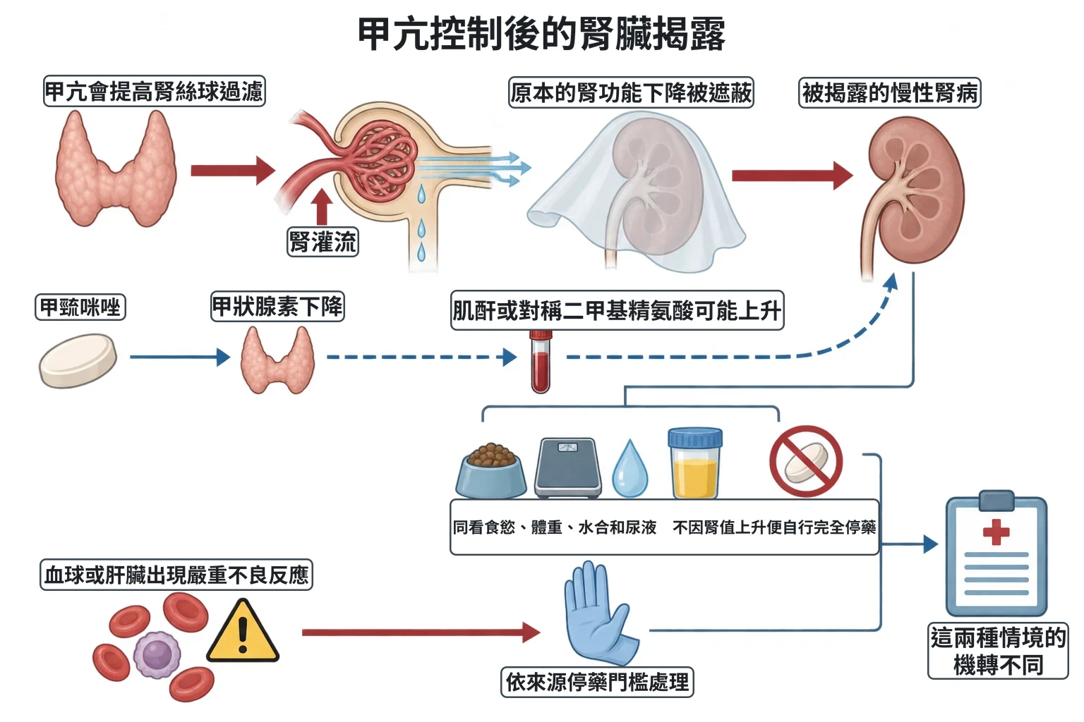 甲亢控制後的腎臟揭露教學插圖