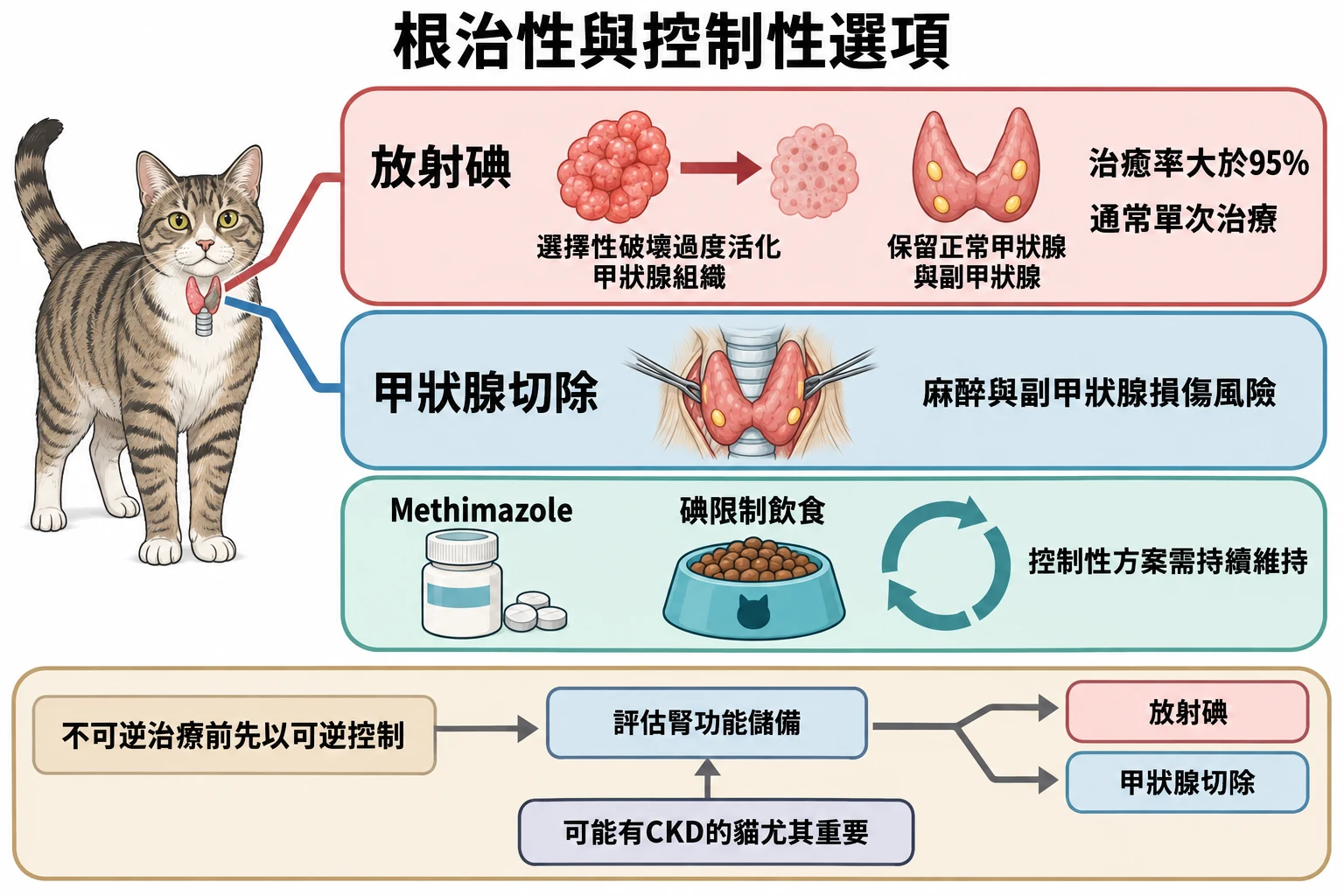 根治性與控制性選項教學插圖