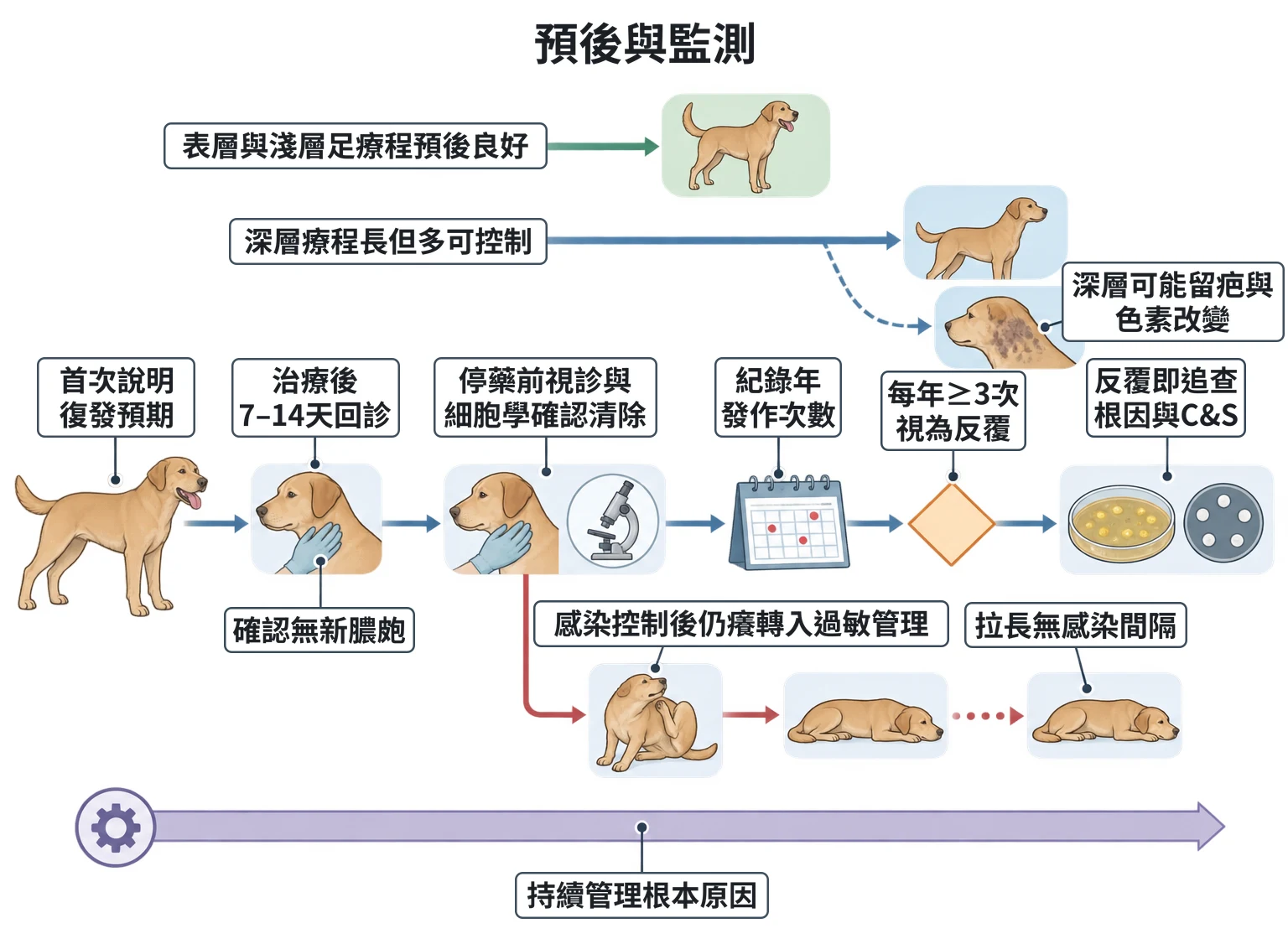 預後與監測教學插圖