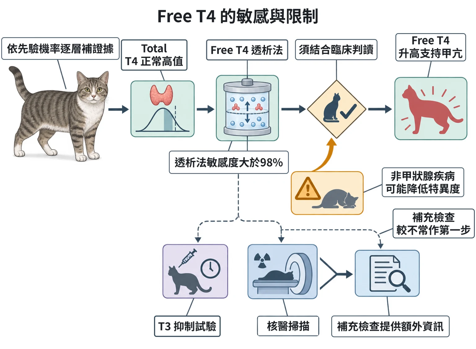 Free T4 的敏感與限制教學插圖