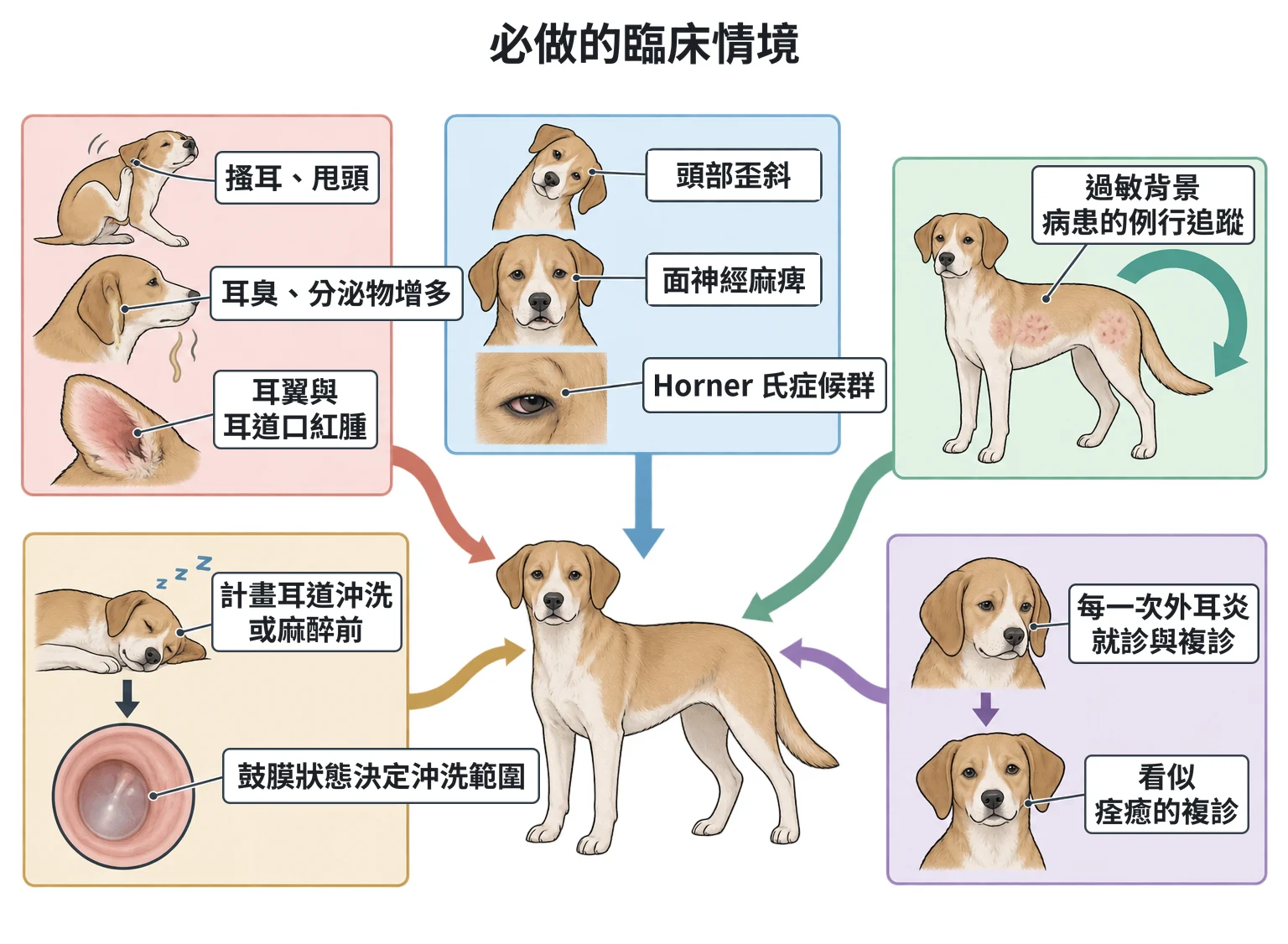 必做的臨床情境教學插圖