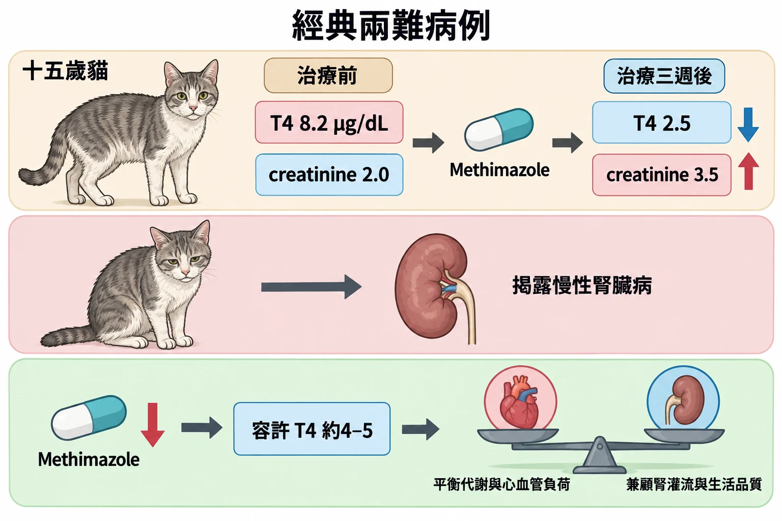 經典兩難病例教學插圖