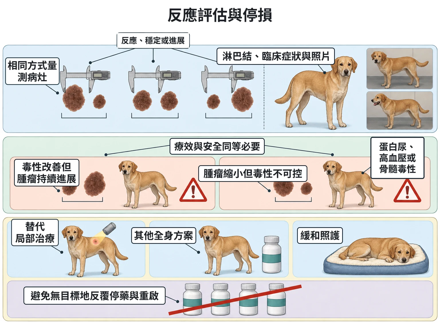 反應評估與停損教學插圖