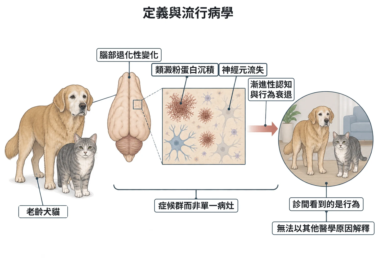 定義與流行病學教學插圖