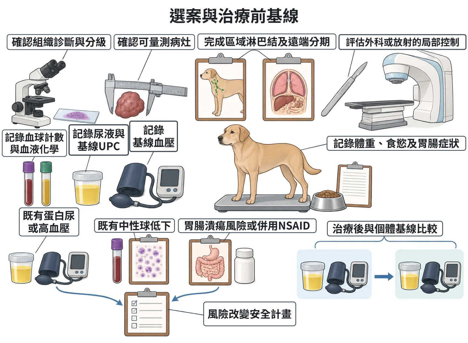 選案與治療前基線教學插圖