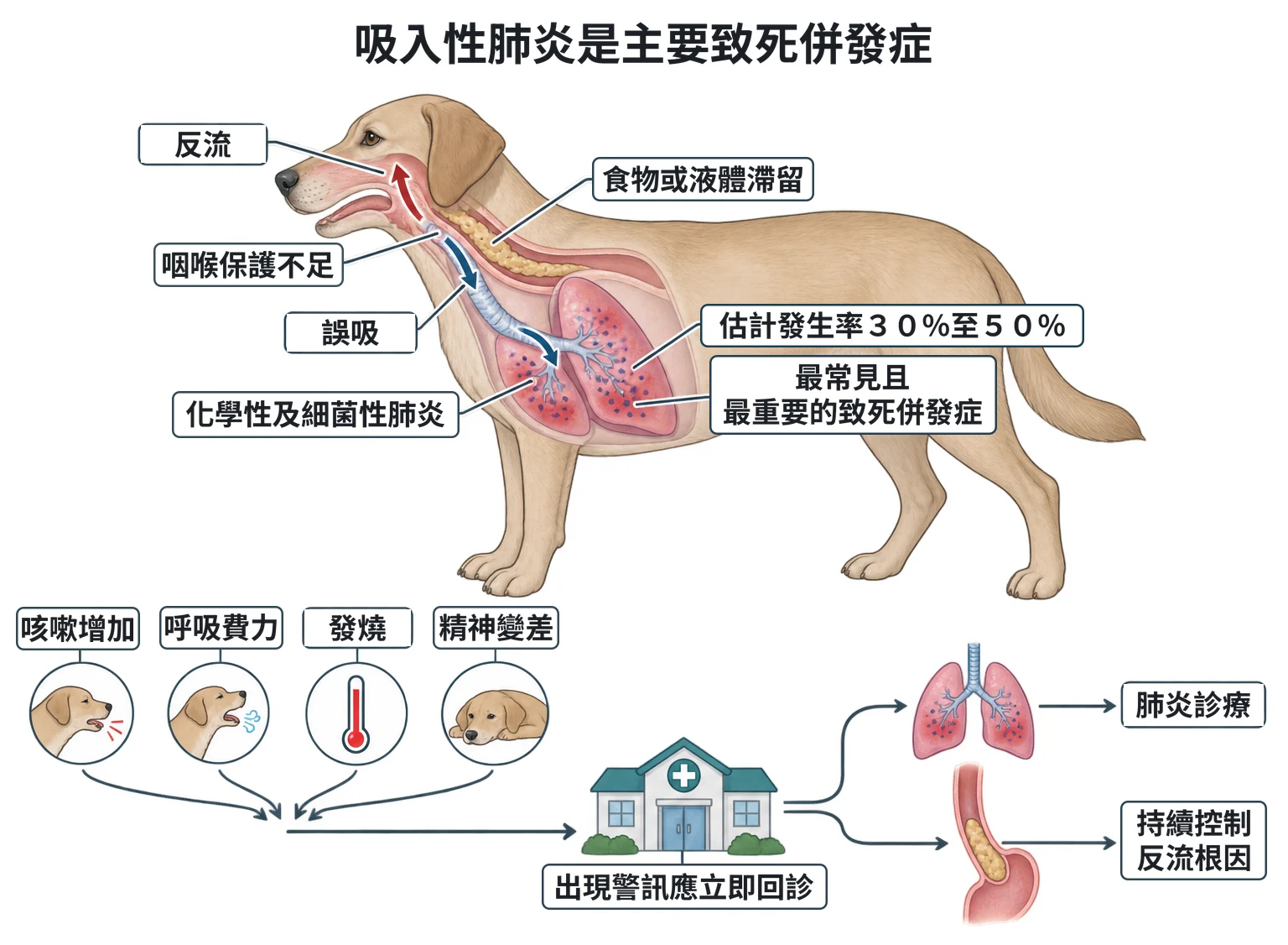 吸入性肺炎是主要致死併發症教學插圖