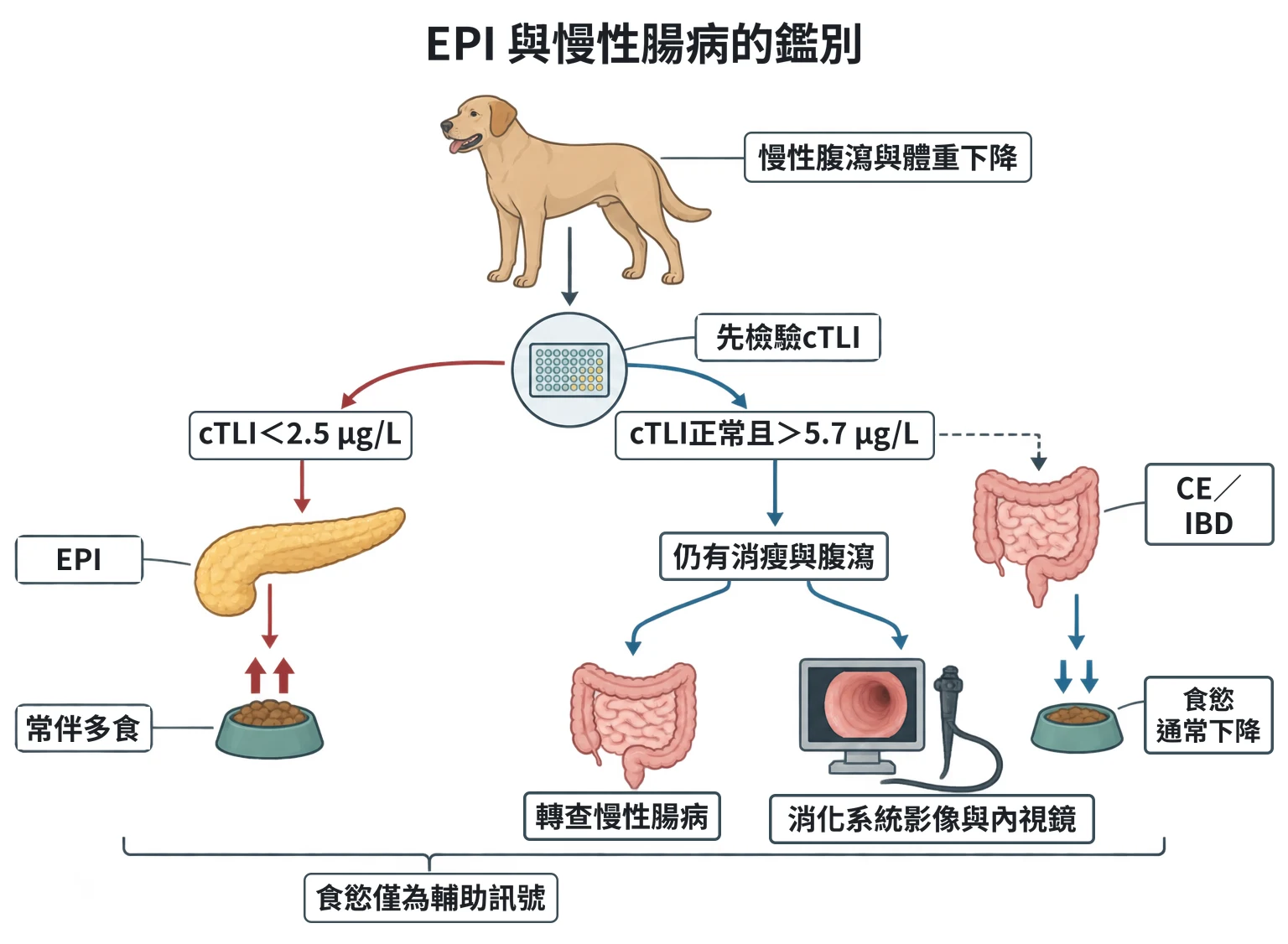 EPI 與慢性腸病的鑑別教學插圖