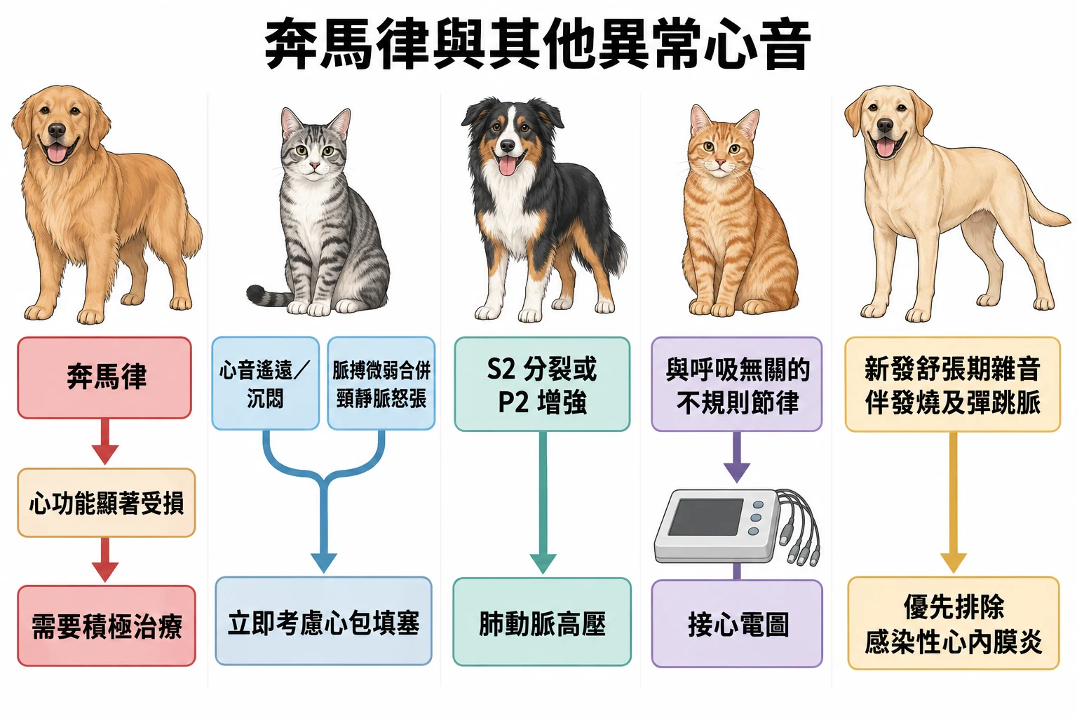 奔馬律與其他異常心音教學插圖