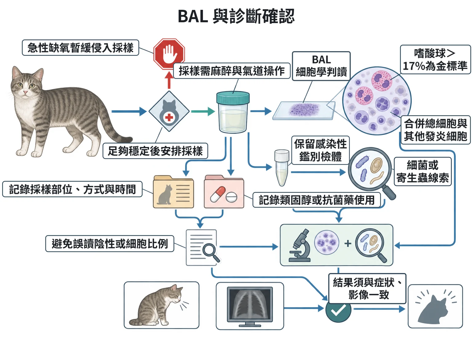 BAL 與診斷確認教學插圖