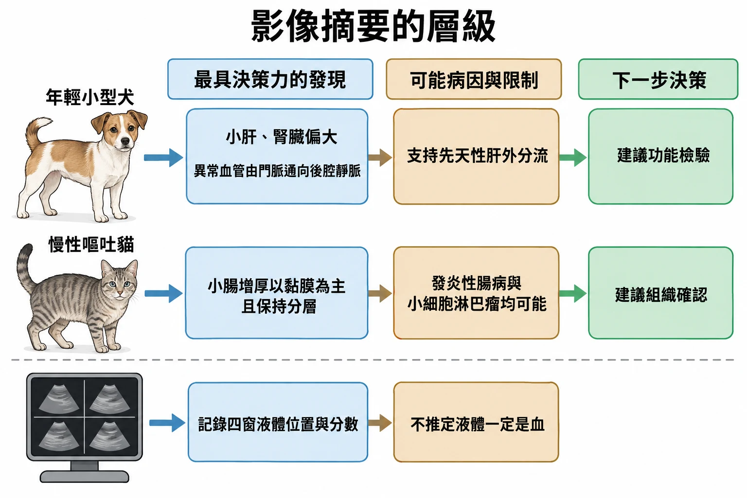 影像摘要的層級教學插圖