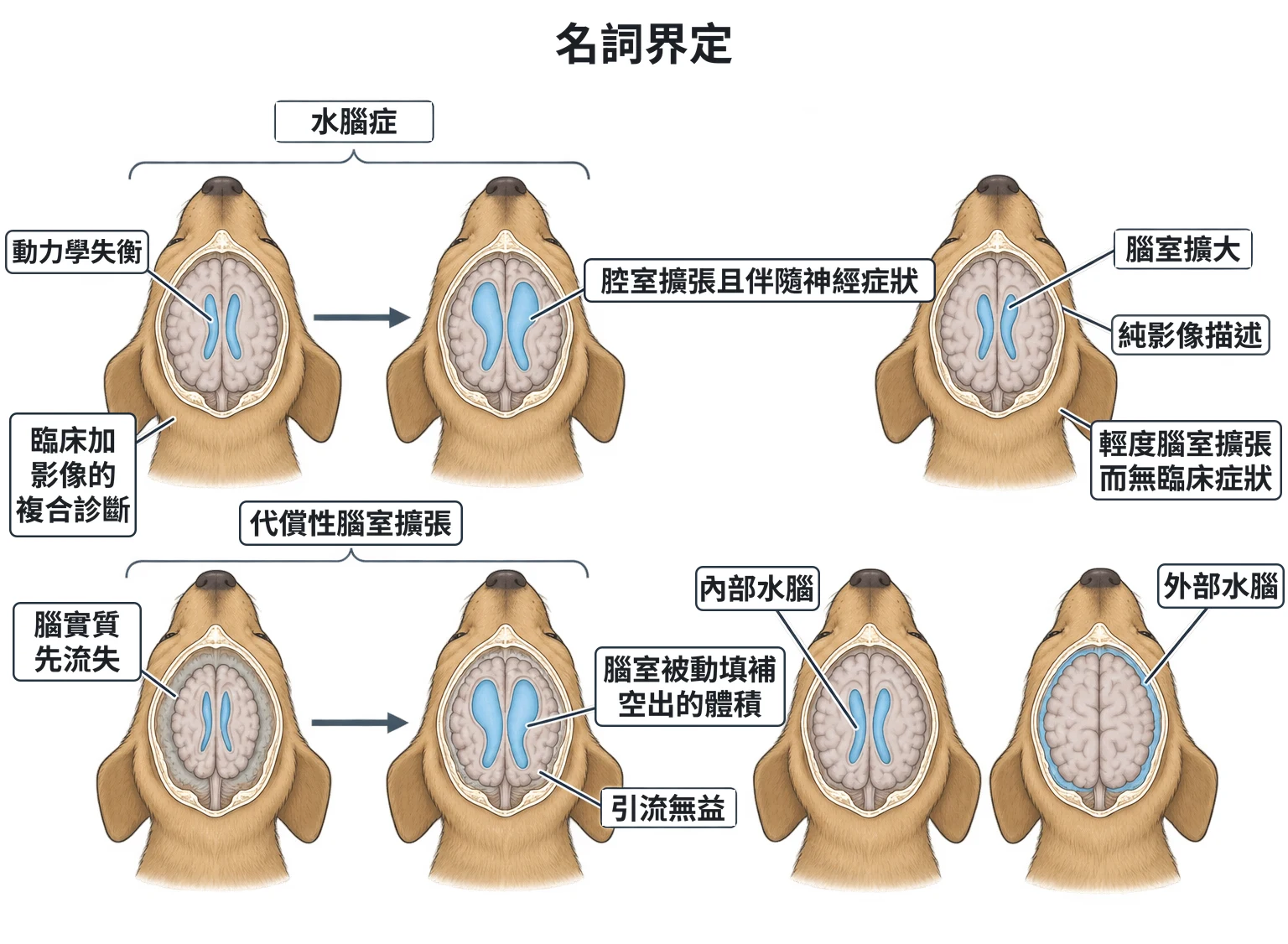 名詞界定教學插圖