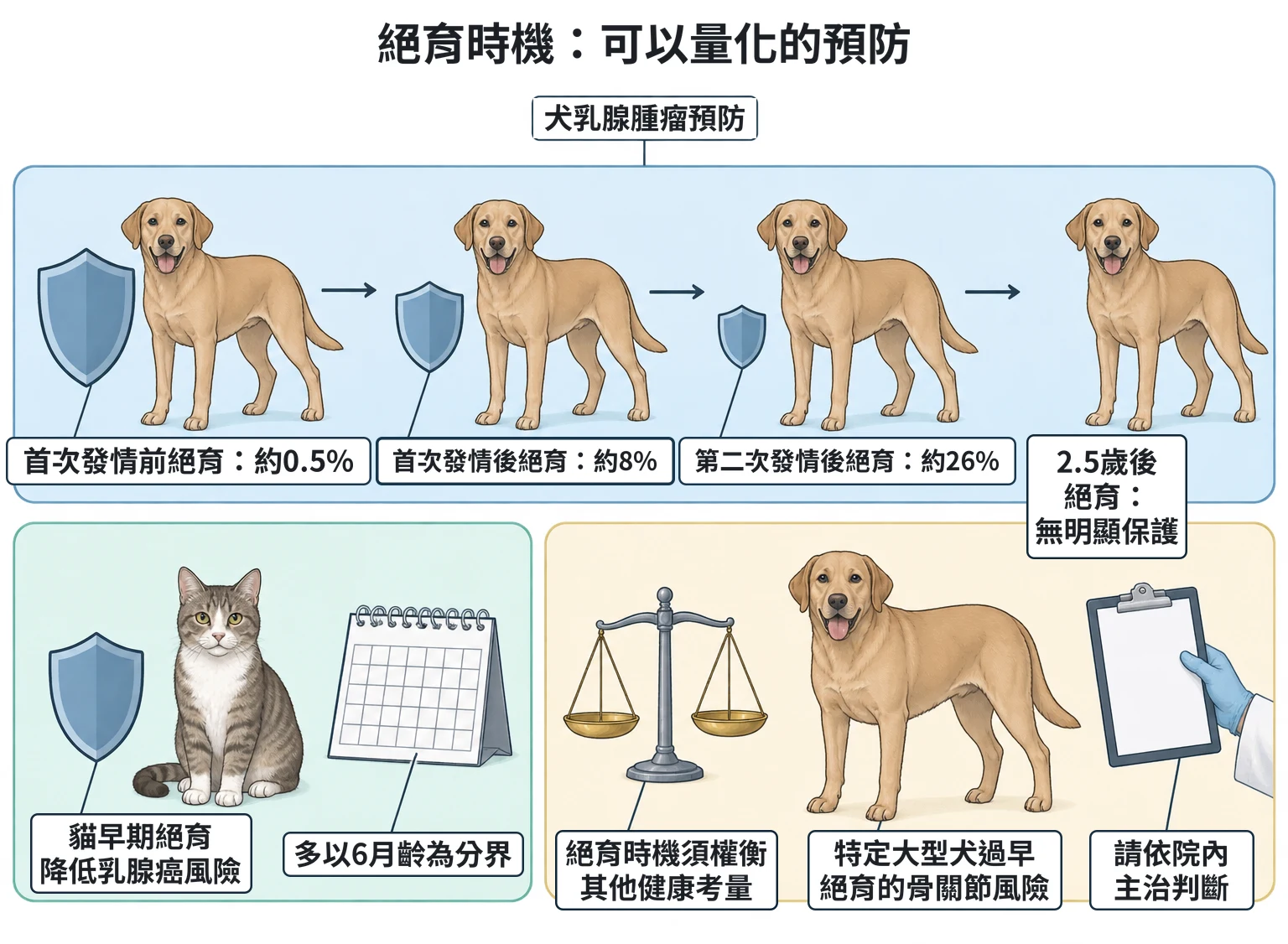 絕育時機:可以量化的預防教學插圖