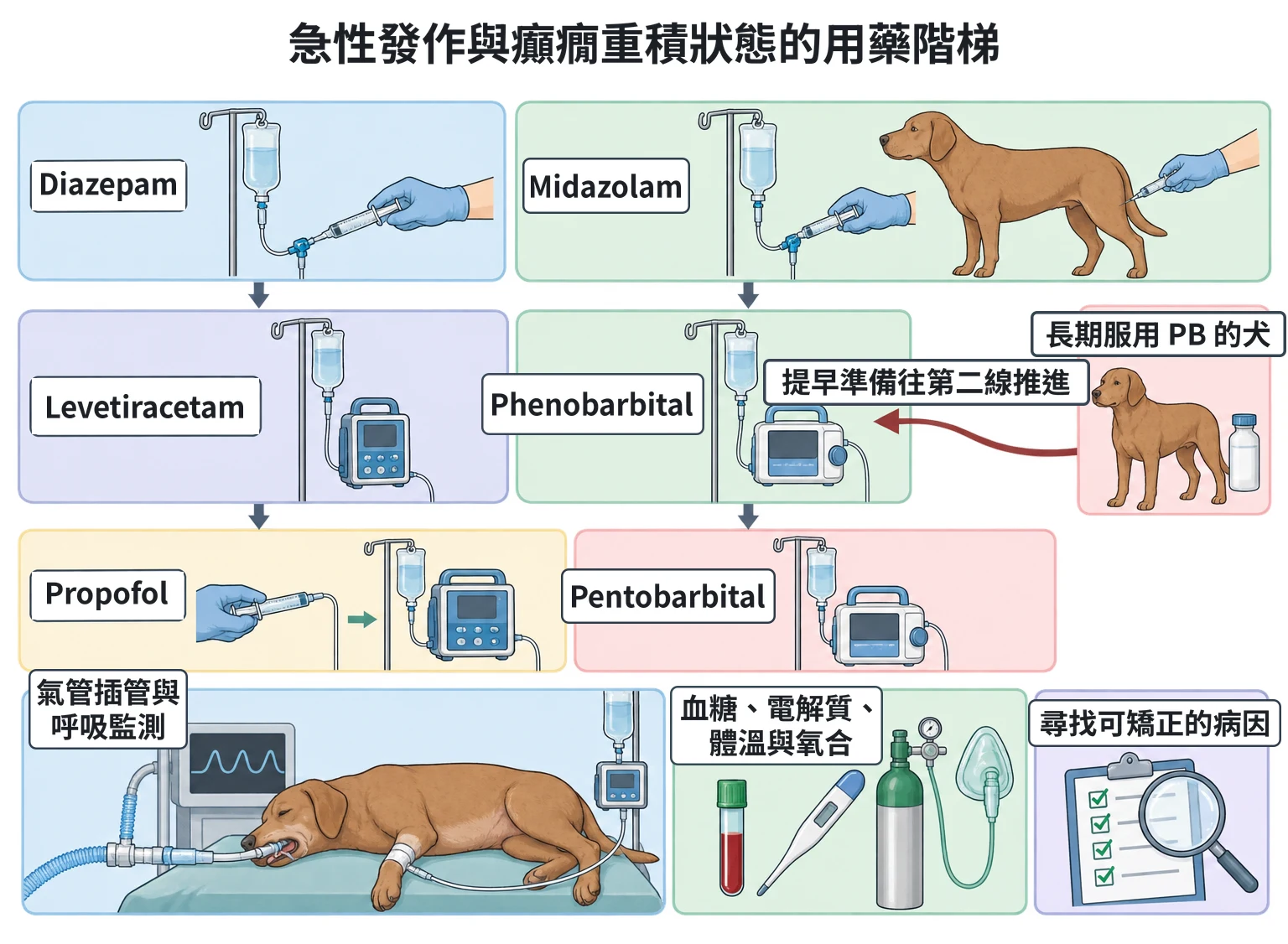 急性發作與癲癇重積狀態的用藥階梯教學插圖