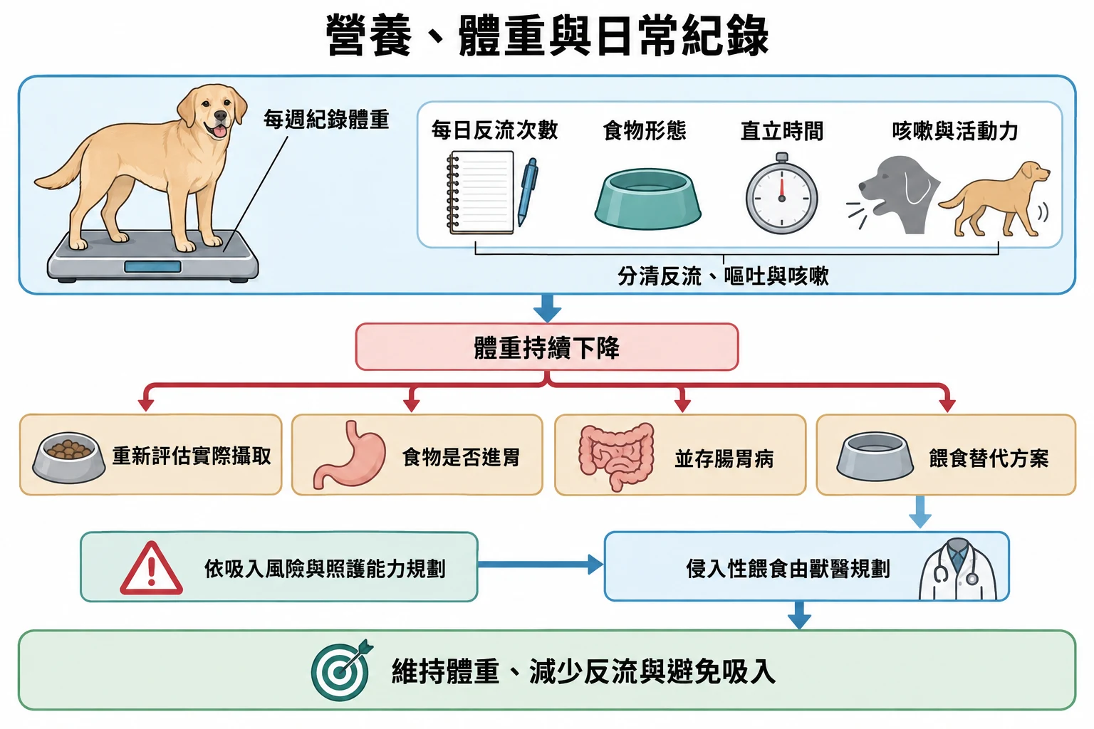 營養、體重與日常紀錄教學插圖