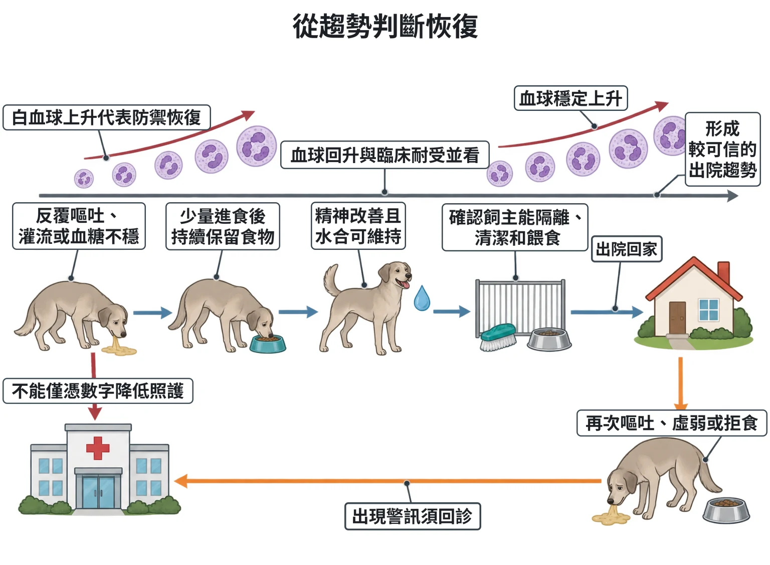從趨勢判斷恢復教學插圖