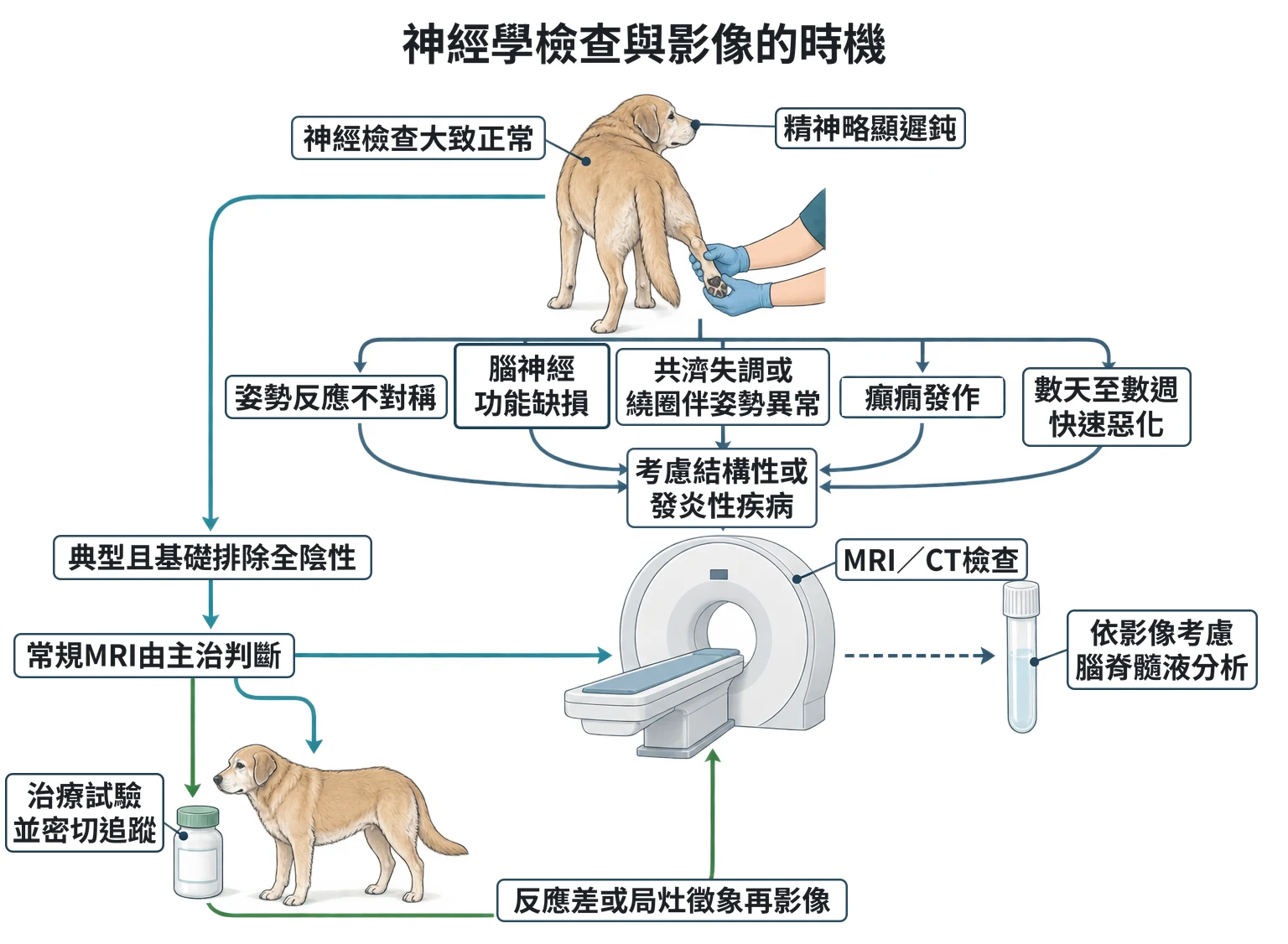 神經學檢查與影像的時機教學插圖
