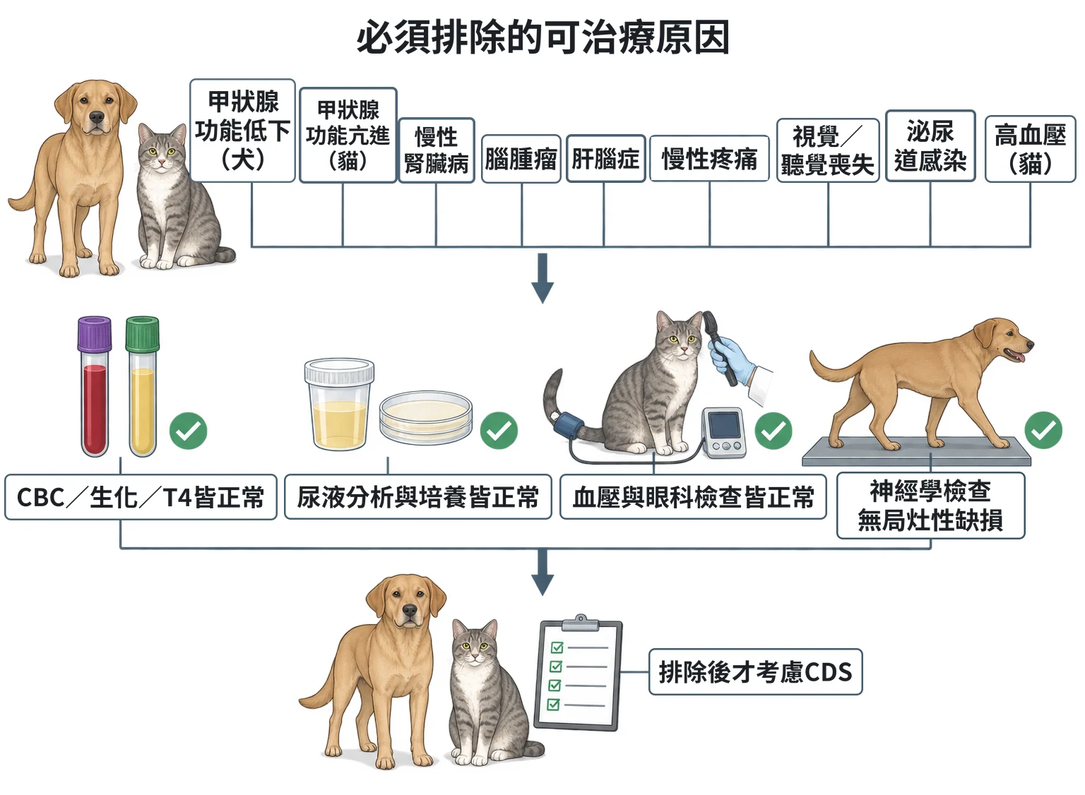 必須排除的可治療原因教學插圖