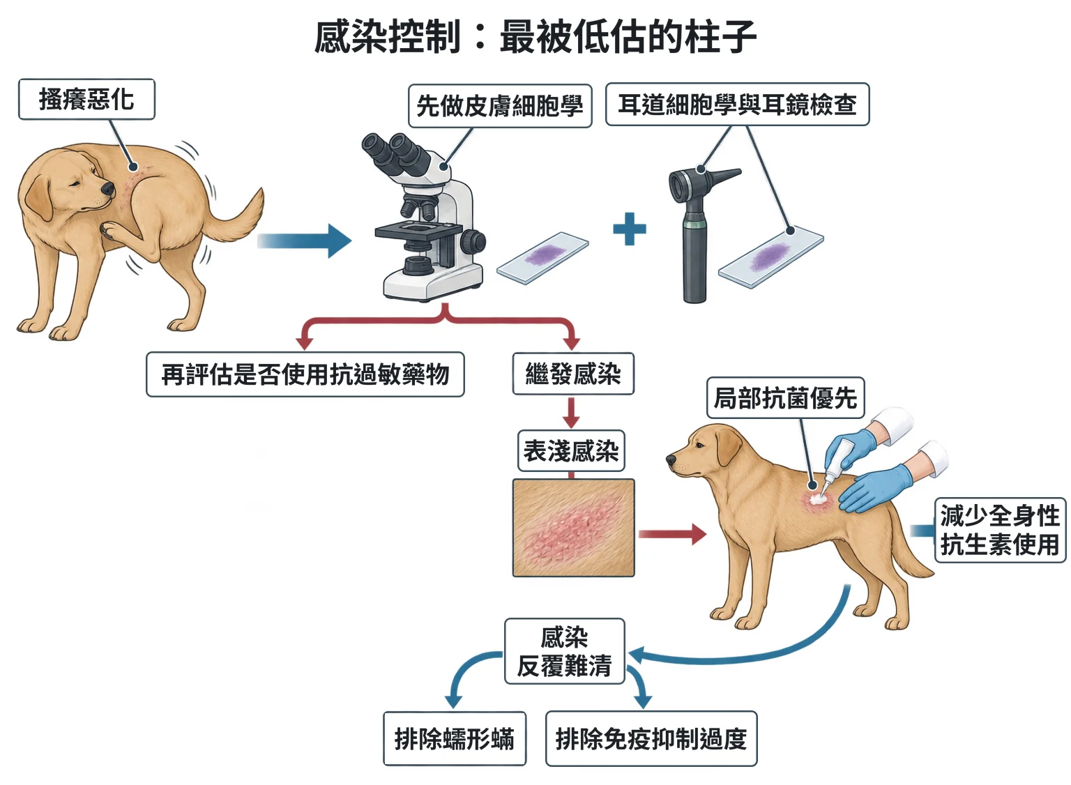 感染控制:最被低估的柱子教學插圖