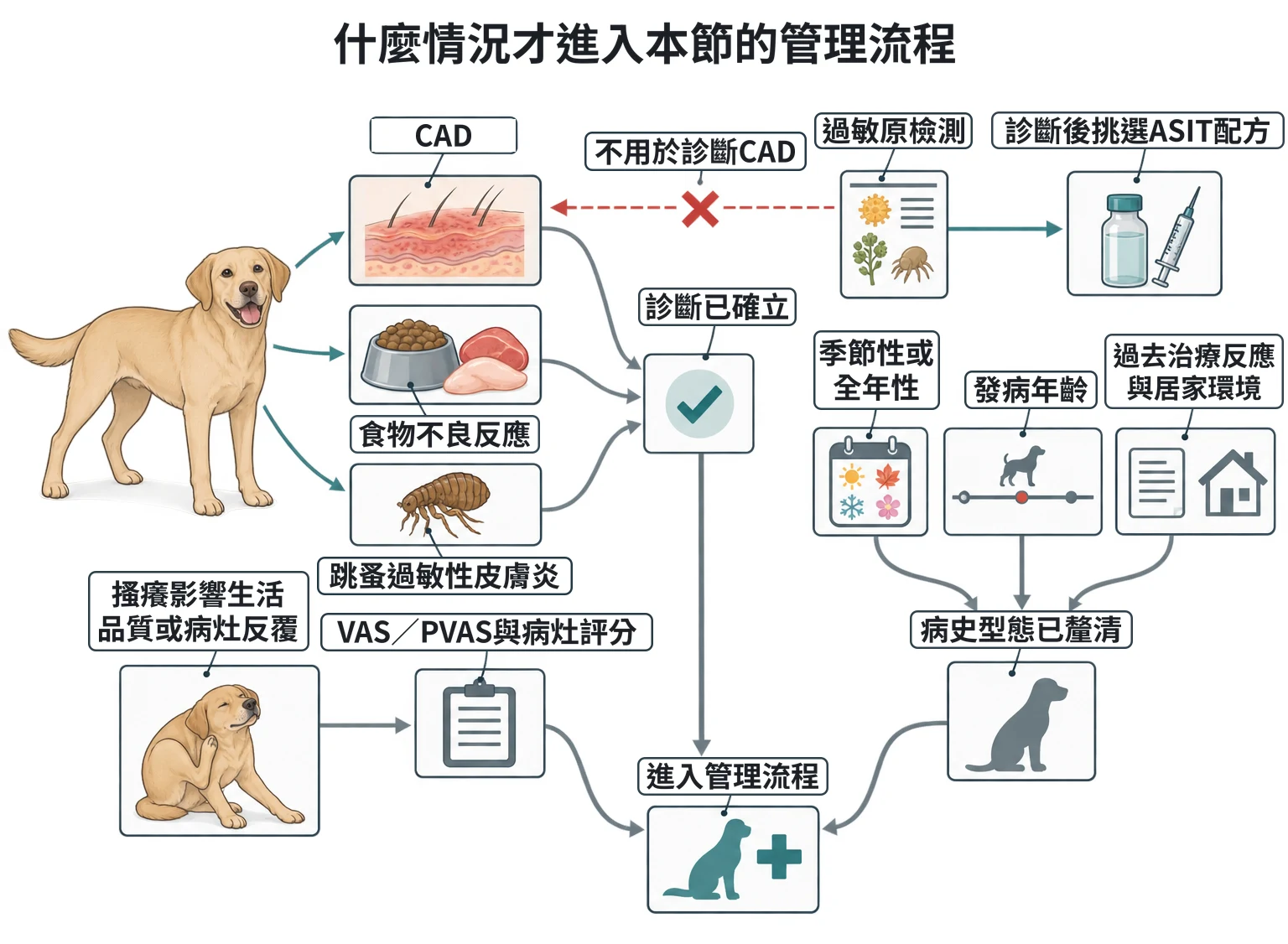 什麼情況才進入本節的管理流程教學插圖