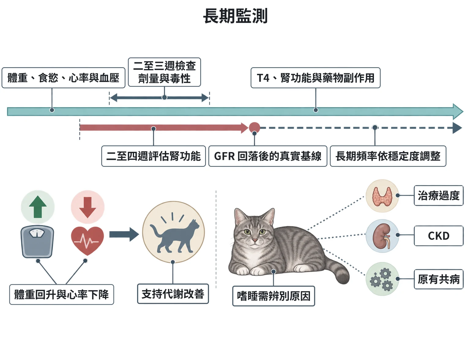 長期監測教學插圖