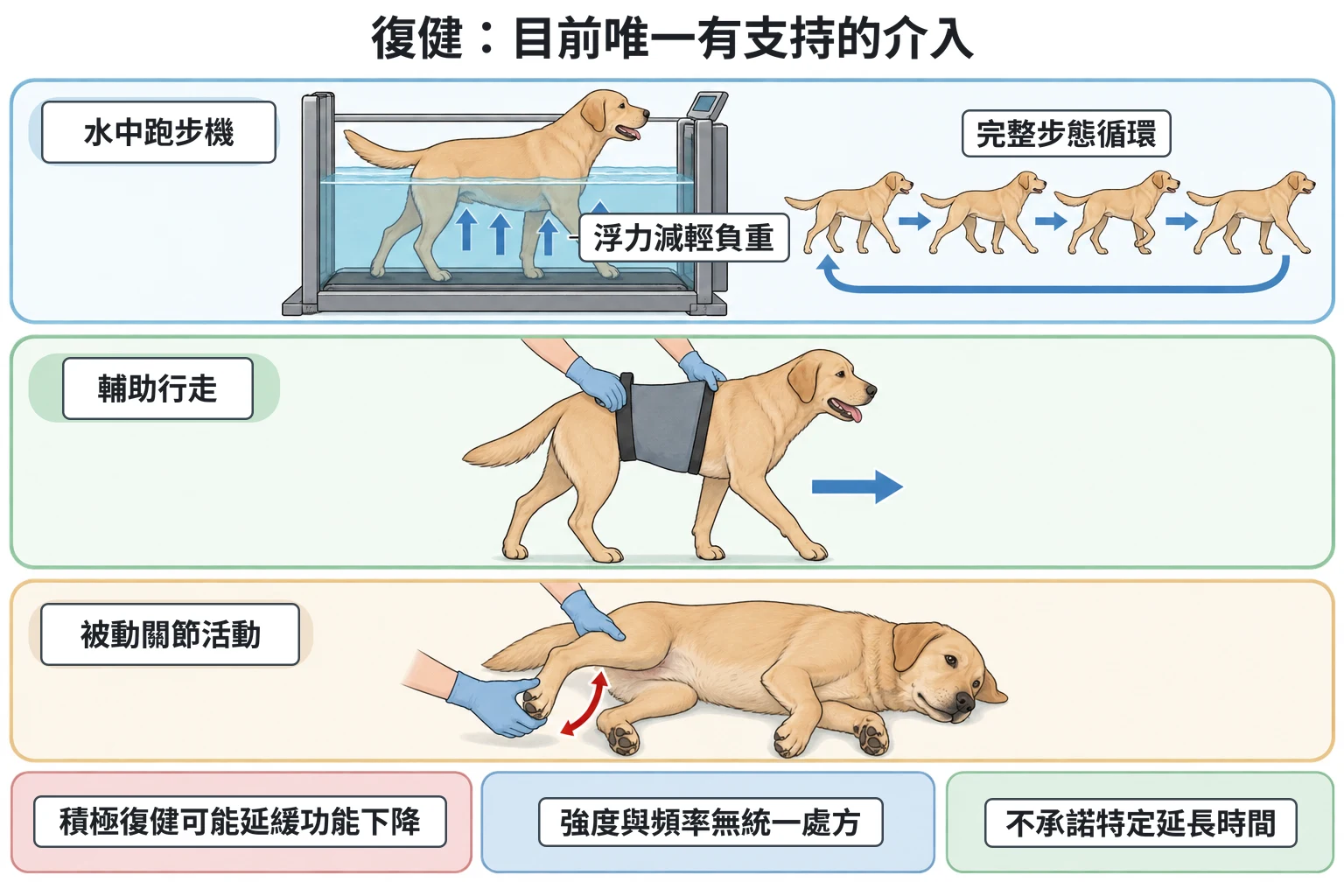 復健:目前唯一有支持的介入教學插圖