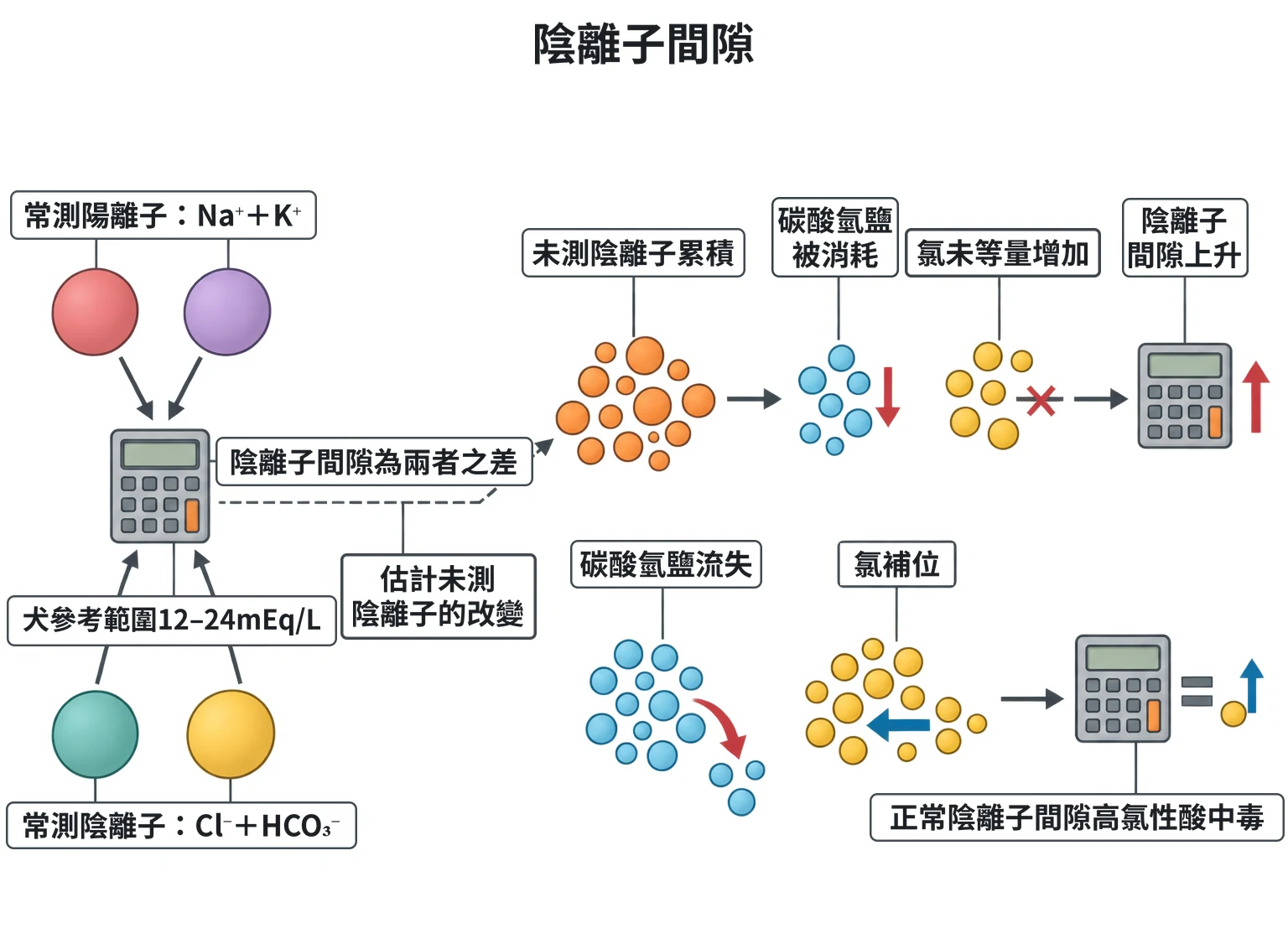 陰離子間隙教學插圖