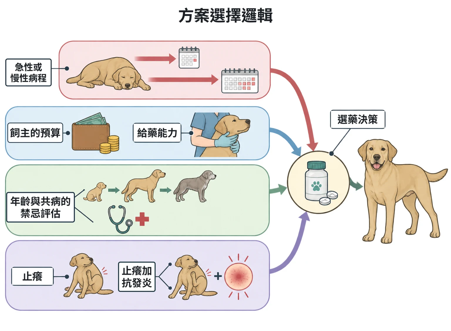 方案選擇邏輯教學插圖