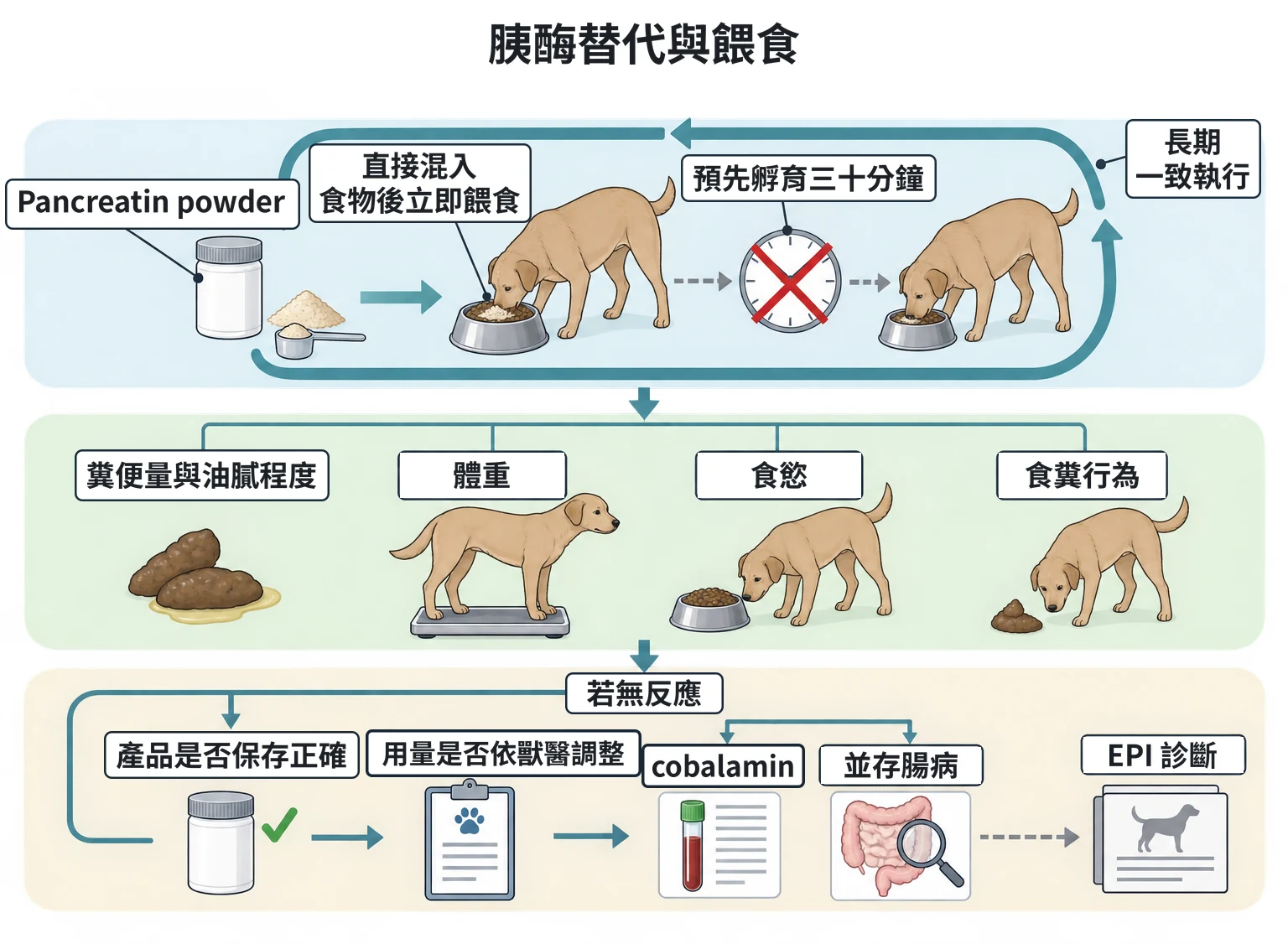 胰酶替代與餵食教學插圖