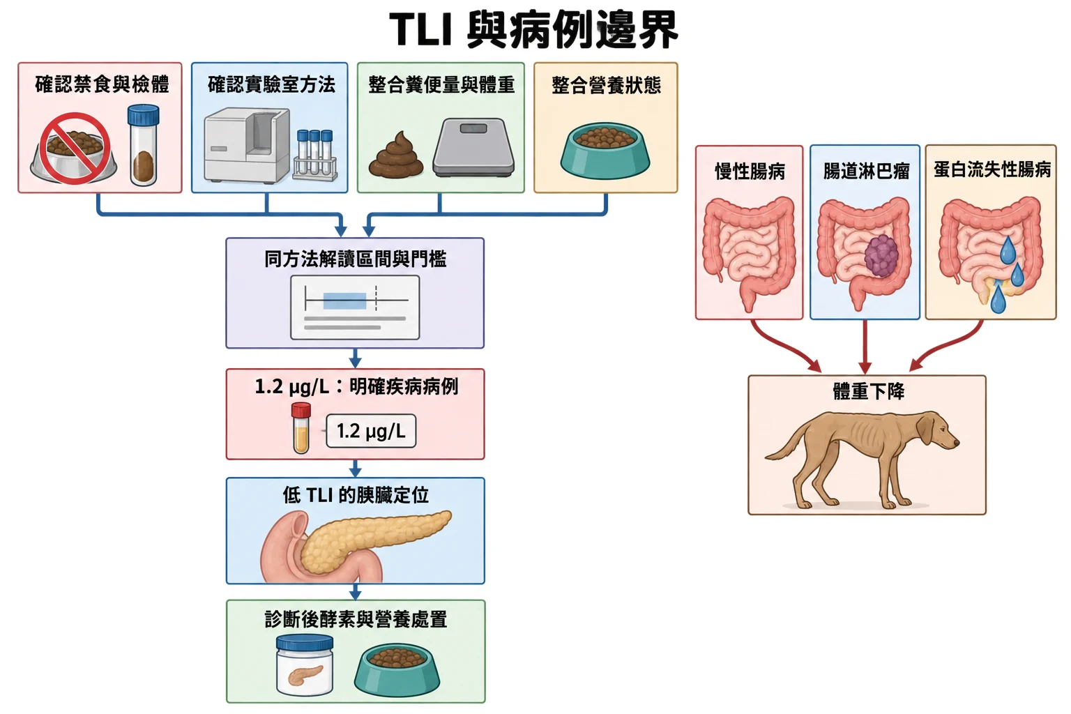 TLI 與病例邊界教學插圖