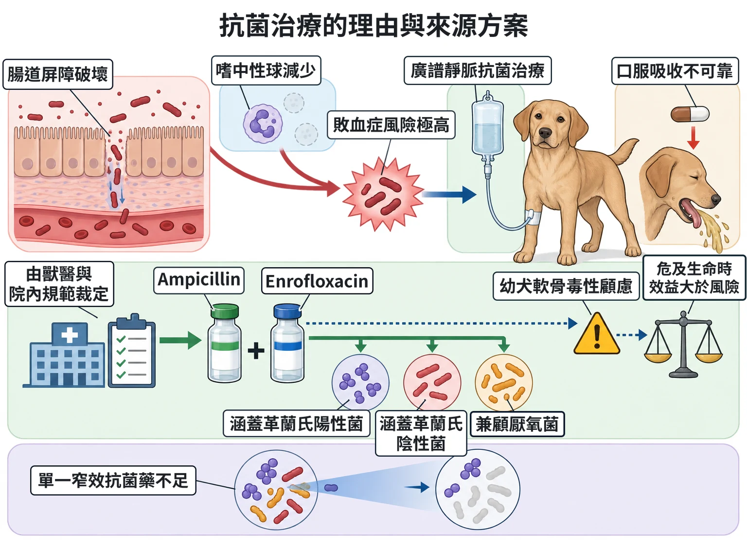 抗菌治療的理由與來源方案教學插圖