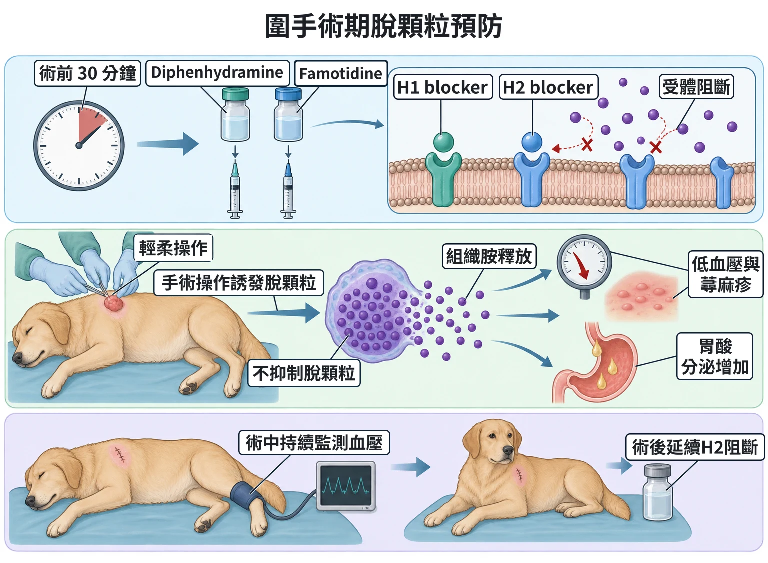 圍手術期脫顆粒預防教學插圖