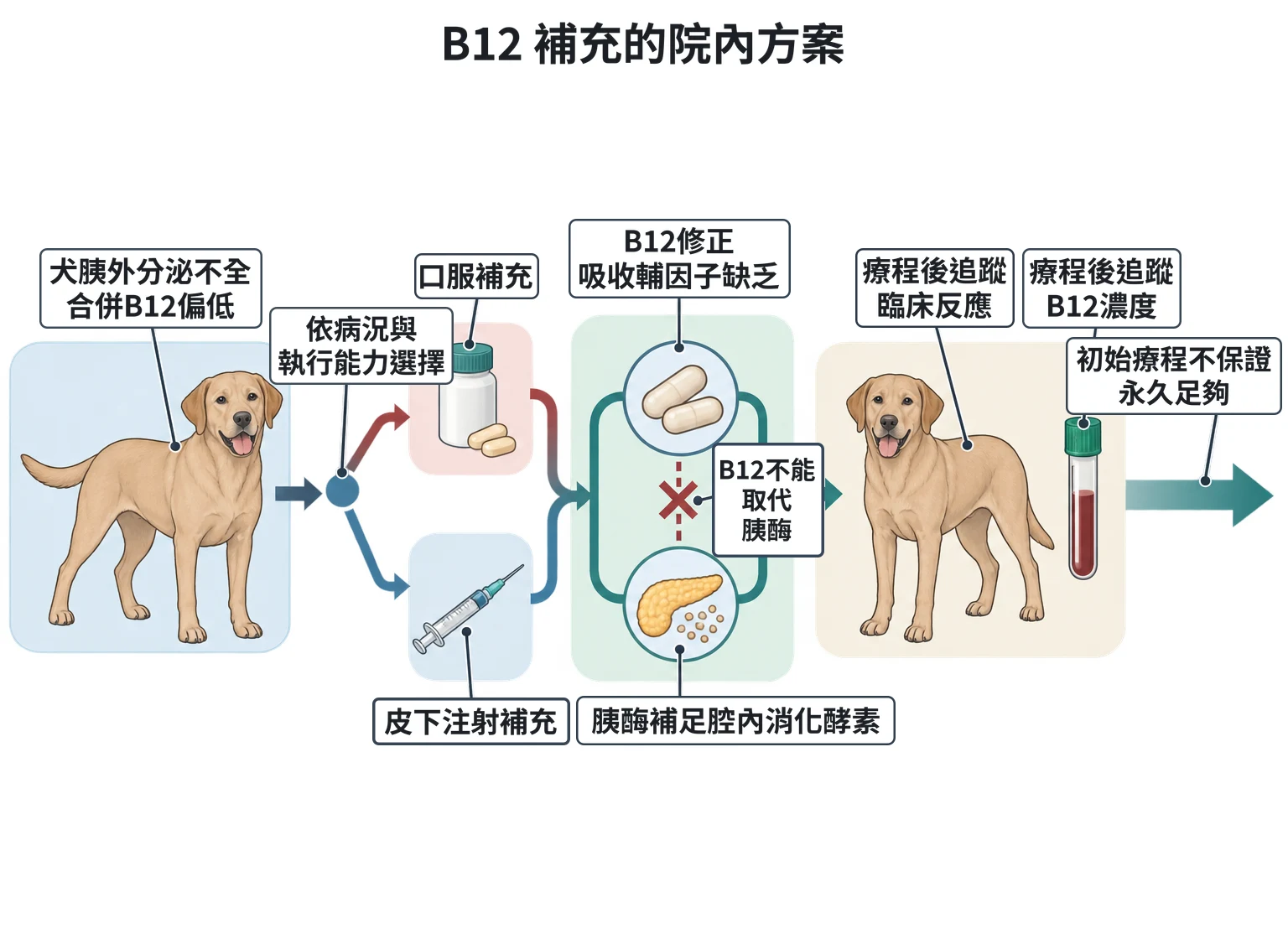 B12 補充的院內方案教學插圖