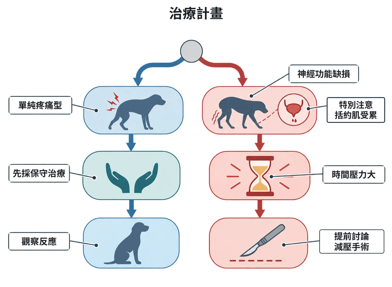 治療計畫教學插圖