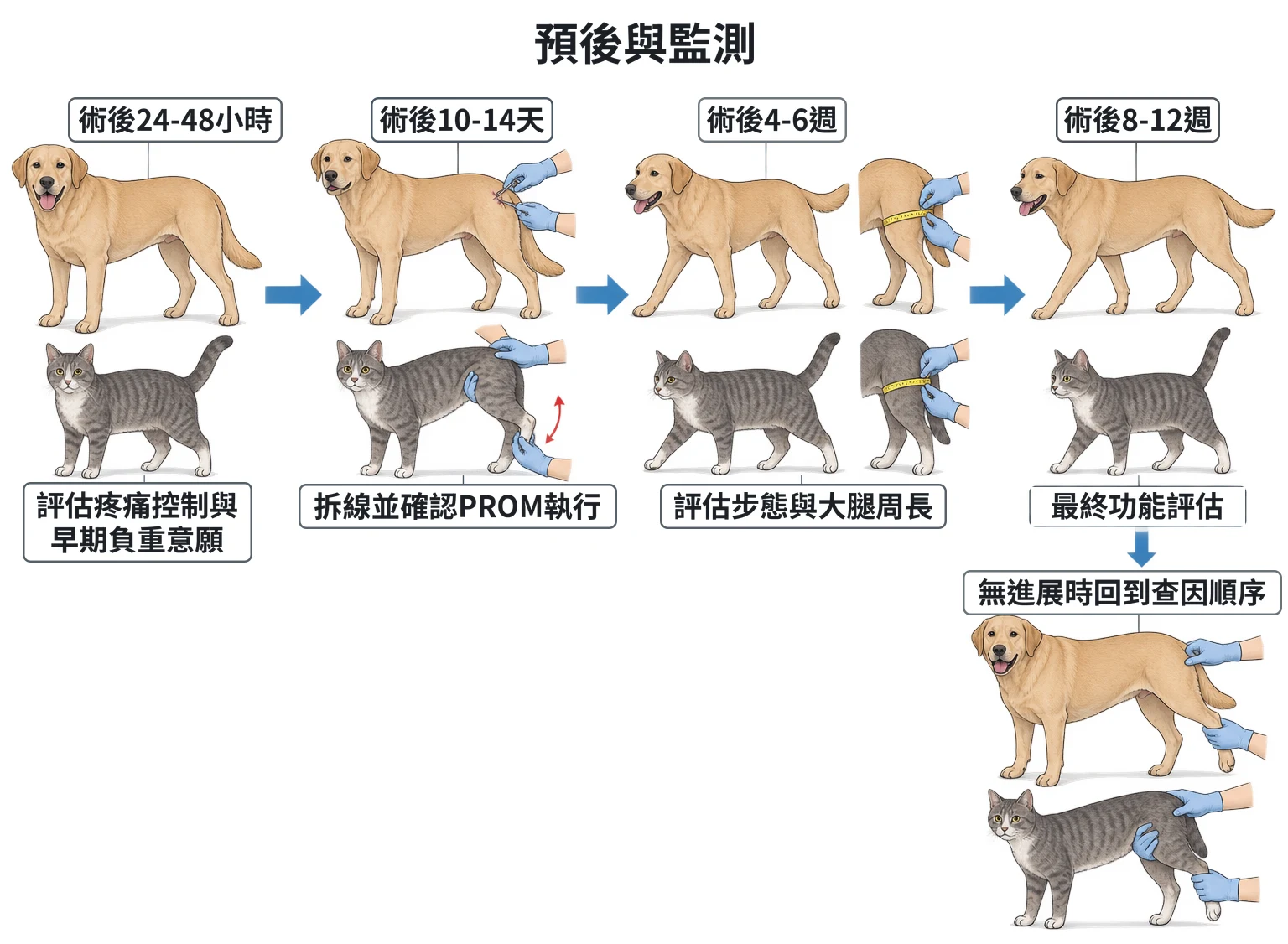 預後與監測教學插圖