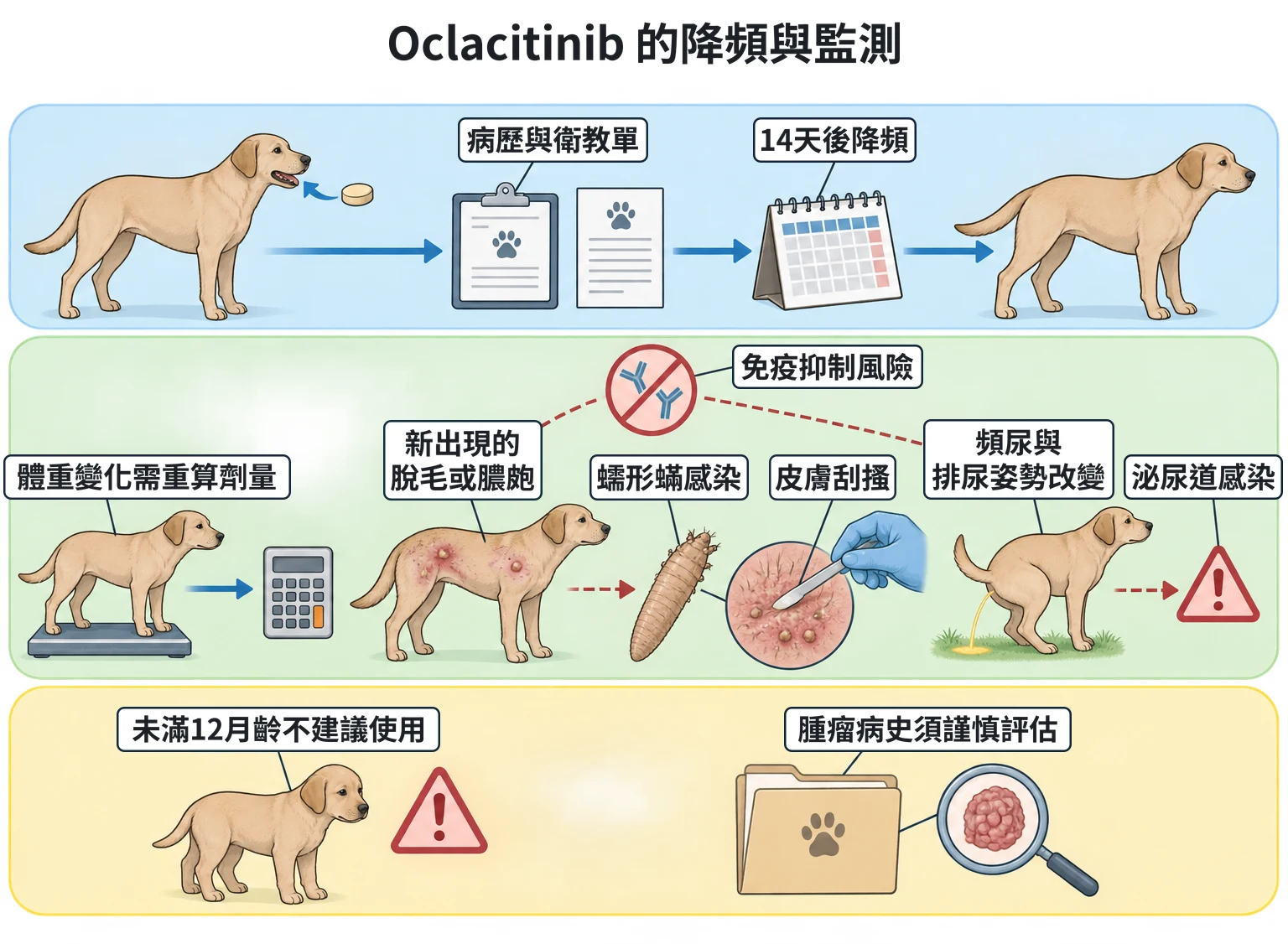 Oclacitinib 的降頻與監測教學插圖