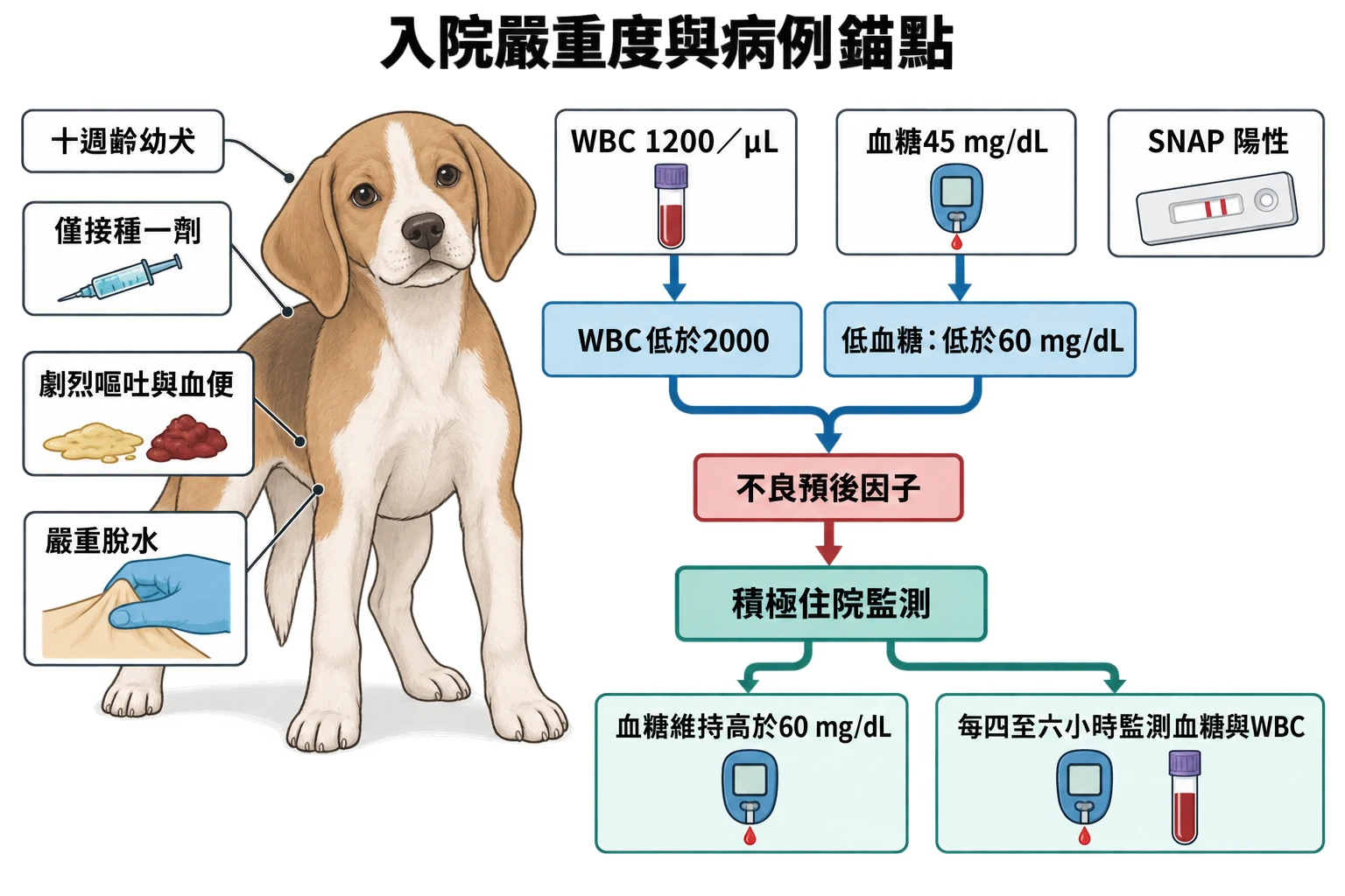 入院嚴重度與病例錨點教學插圖