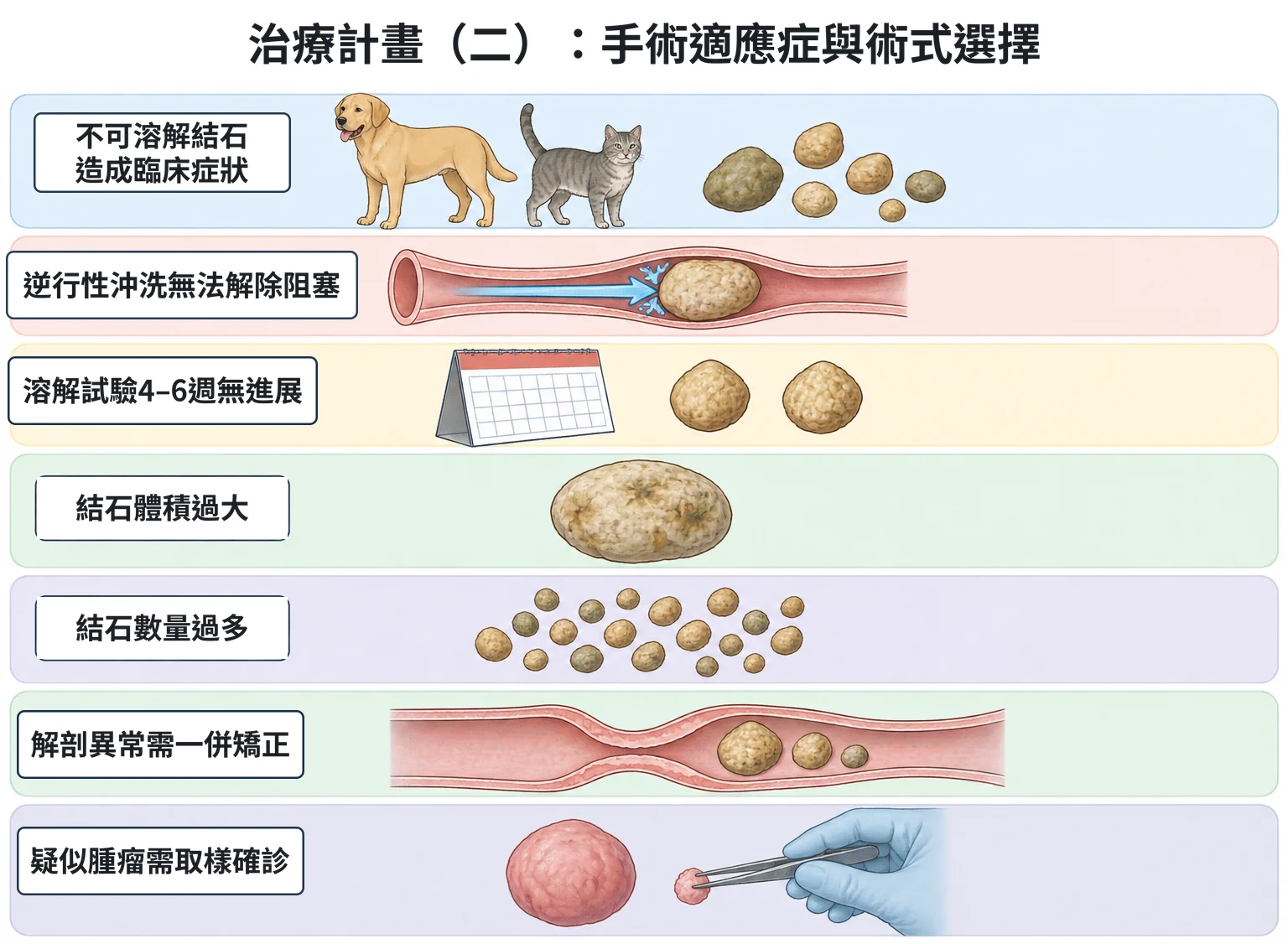 治療計畫(二):手術適應症與術式選擇教學插圖