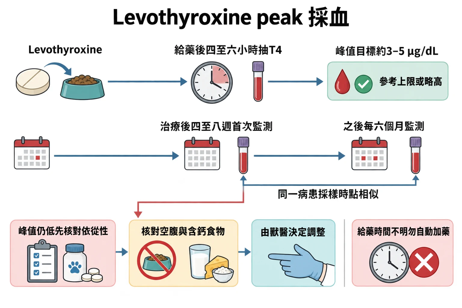 Levothyroxine peak 採血教學插圖