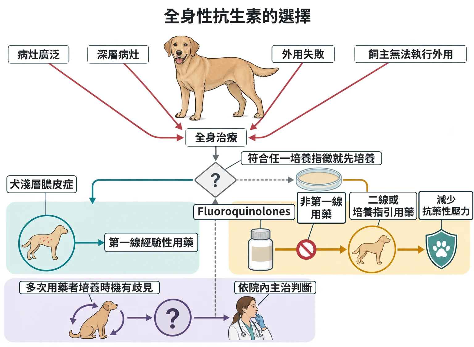 全身性抗生素的選擇教學插圖